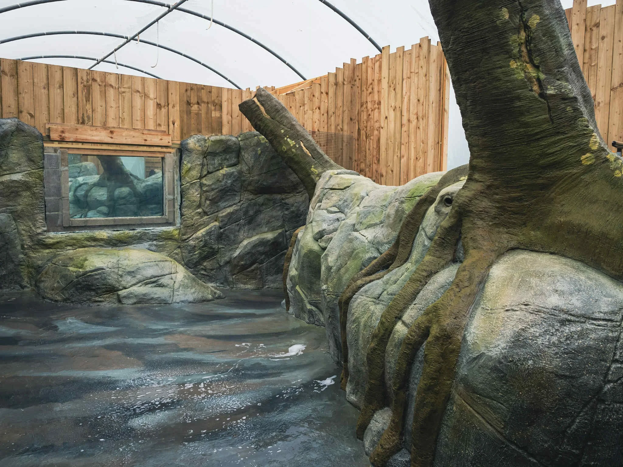 Indoor enclosure with artificial rocks and a large tree trunk, small water pool, and a viewing window.