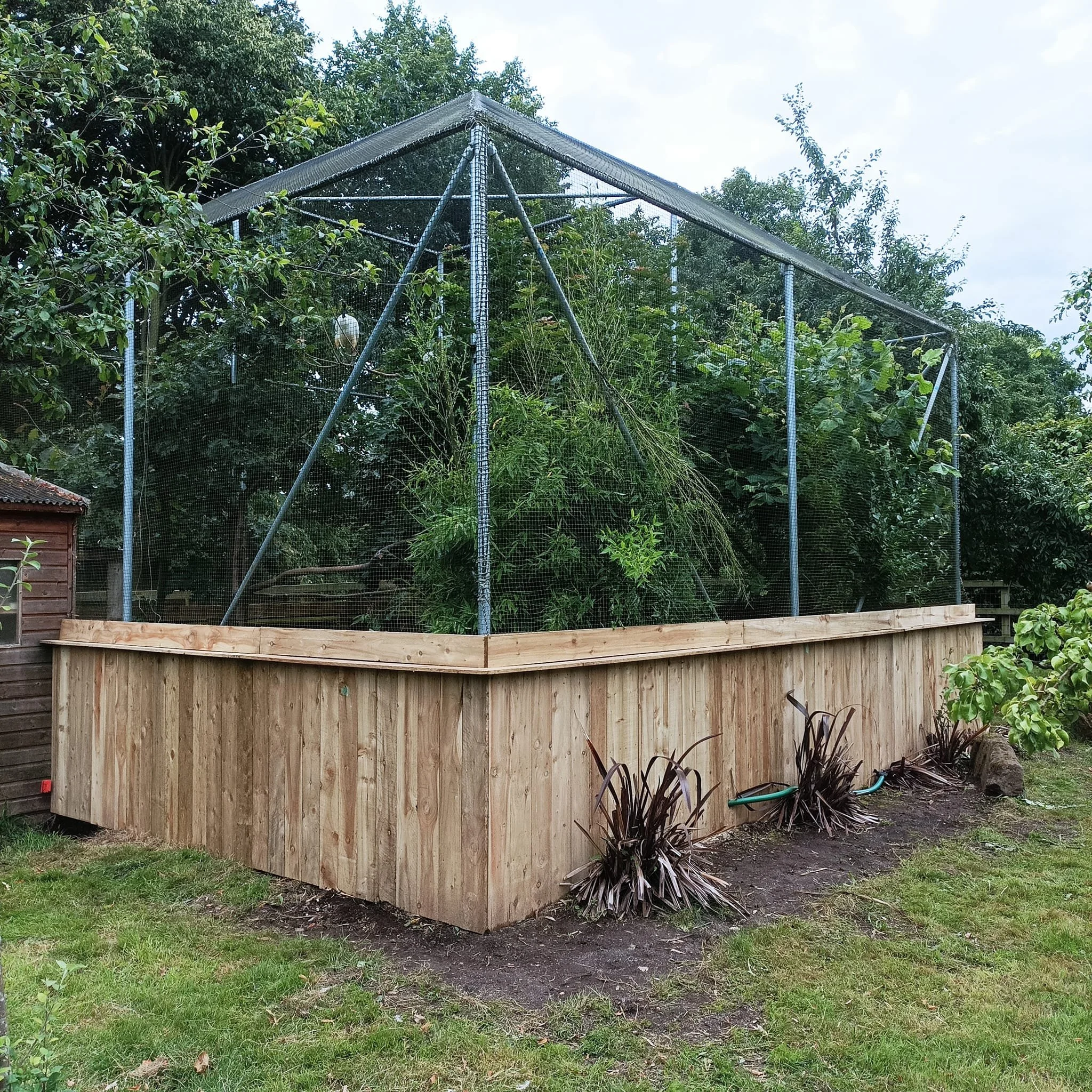 A garden raised wooden bed with a wire mesh enclosure, containing various plants, in a backyard with trees and grass.