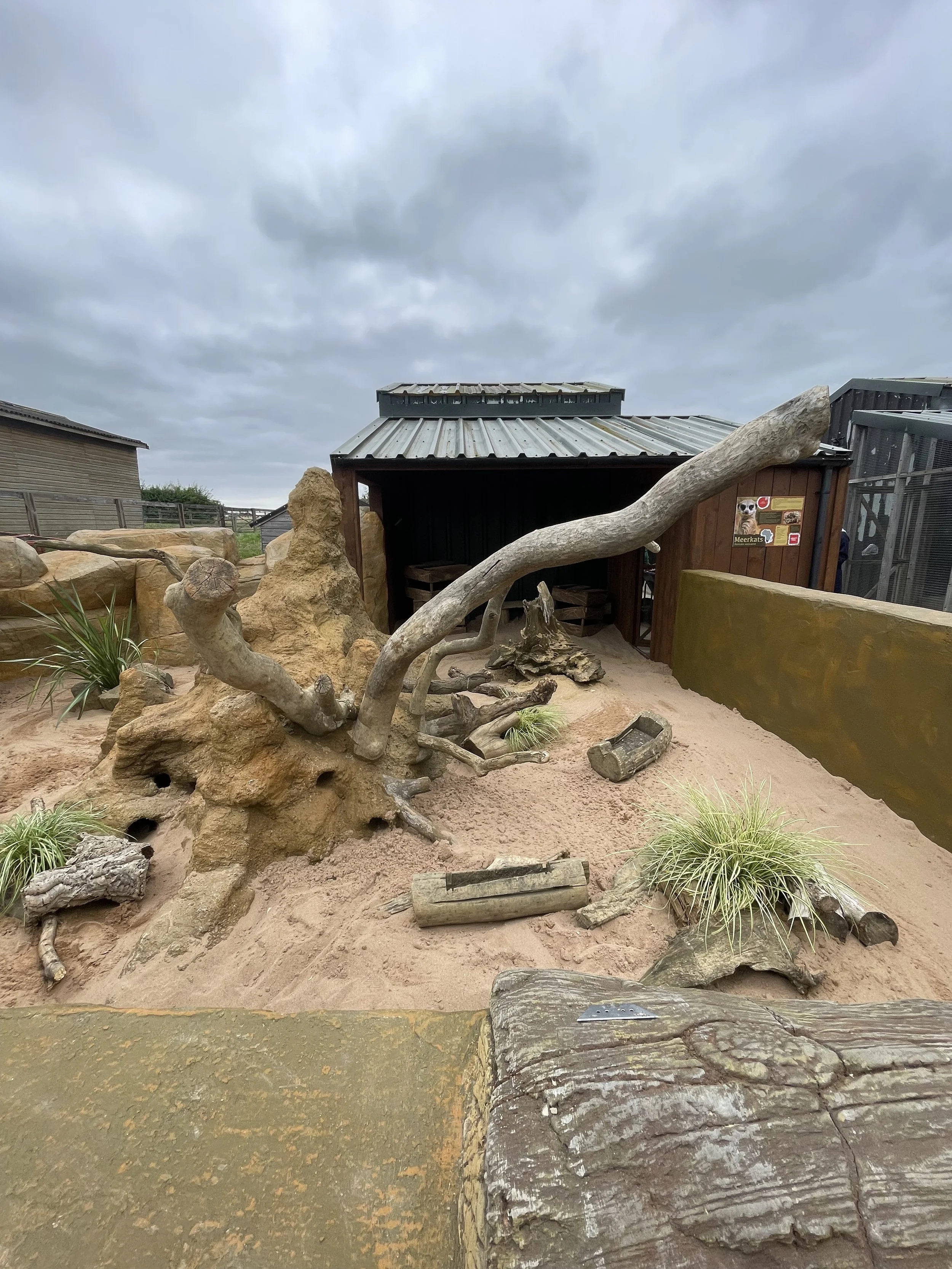 Outdoor animal enclosure with sand, driftwood, plants, rocks, and a small shelter against a cloudy sky.