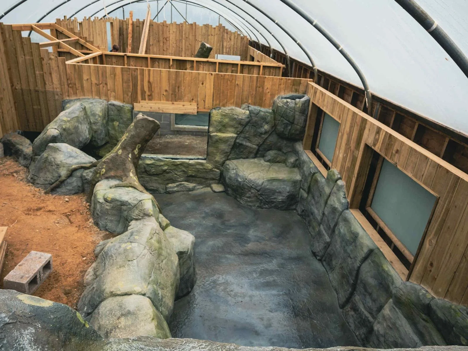 Inside a greenhouse, a rocky enclosure with artificial rocks and a small pond or water feature under construction, surrounded by wooden fencing and framing.