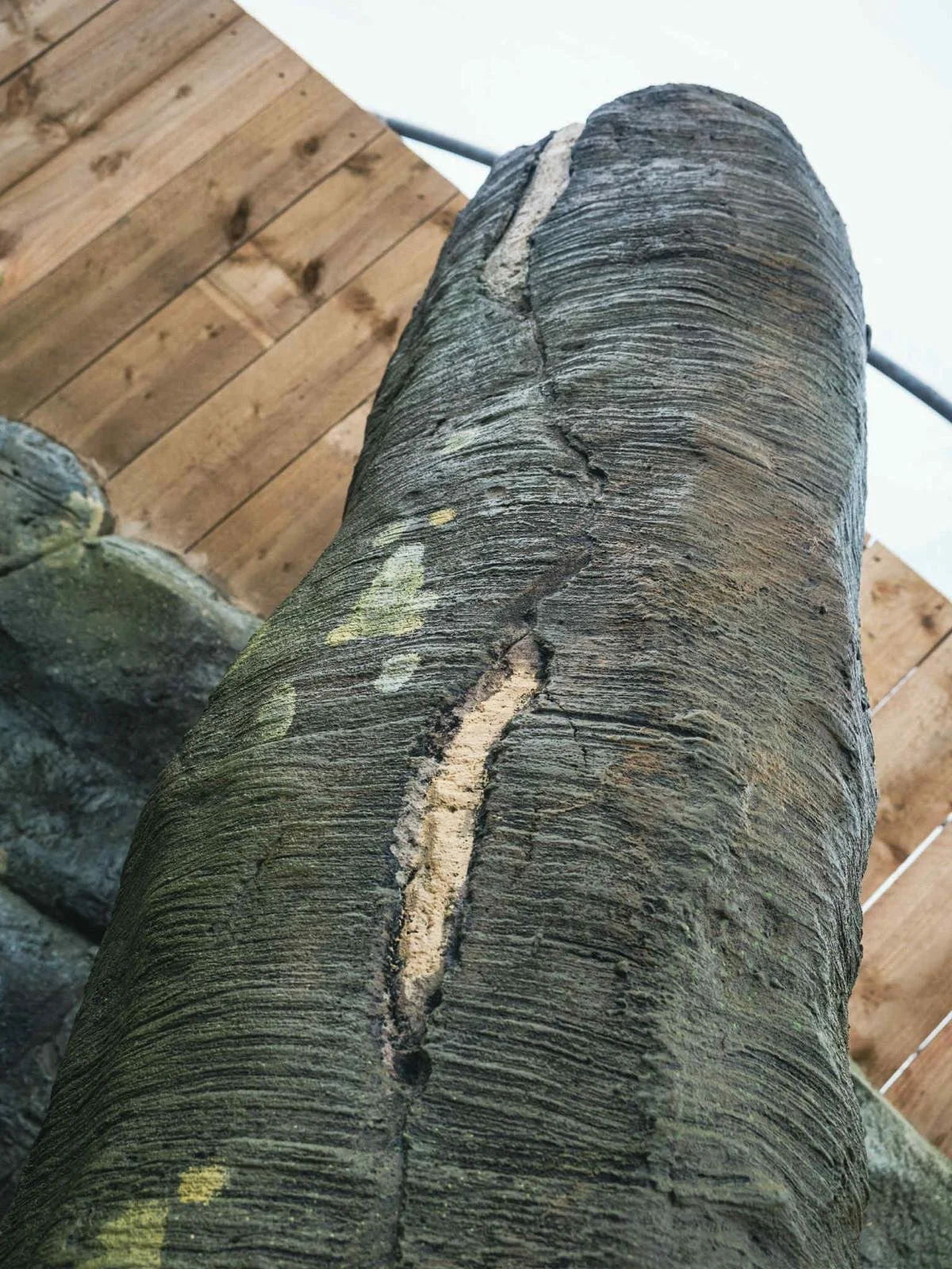 Close-up of a weathered wooden log with cracks and rough texture, placed on a wooden surface with a background of a white wall.