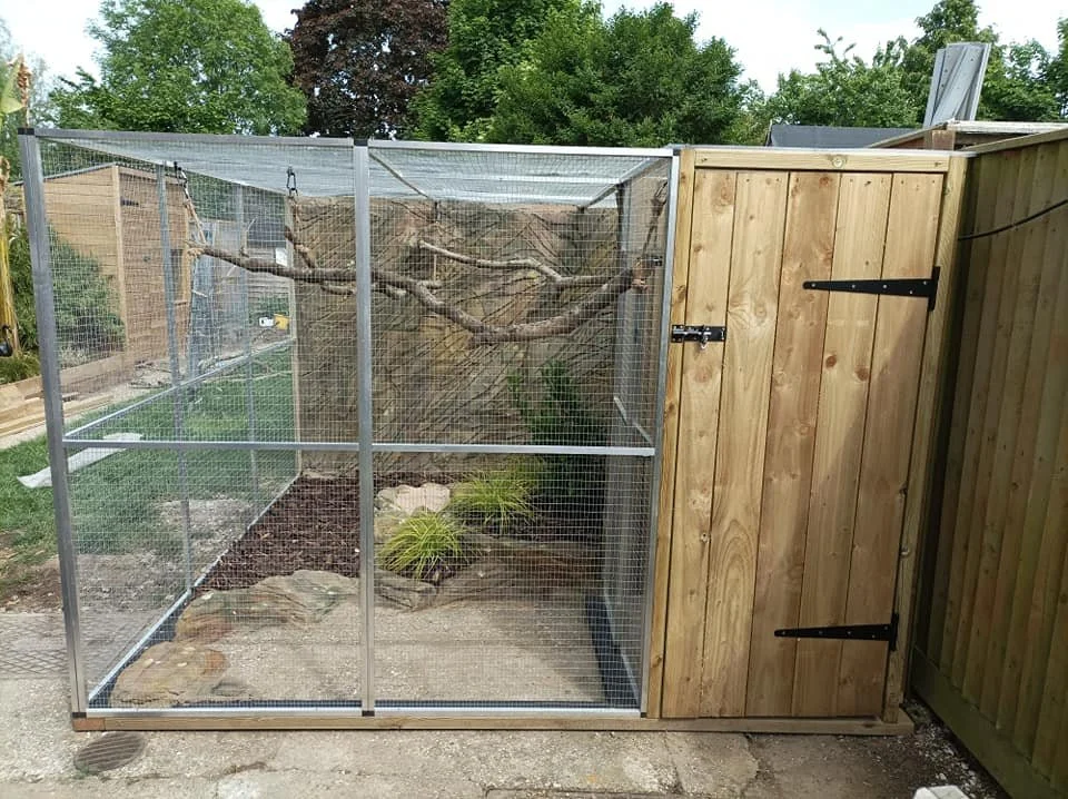A small outdoor enclosure made of wood and wire mesh, with a door latch, situated next to a wooden fence, containing rocks, plants, and a tree branch for climbing.