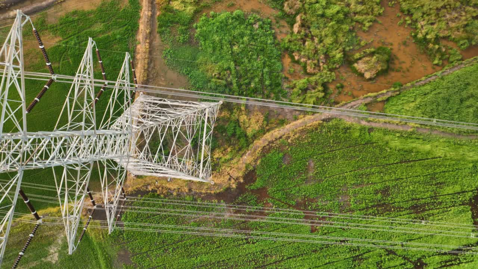 Untitled design (39).png