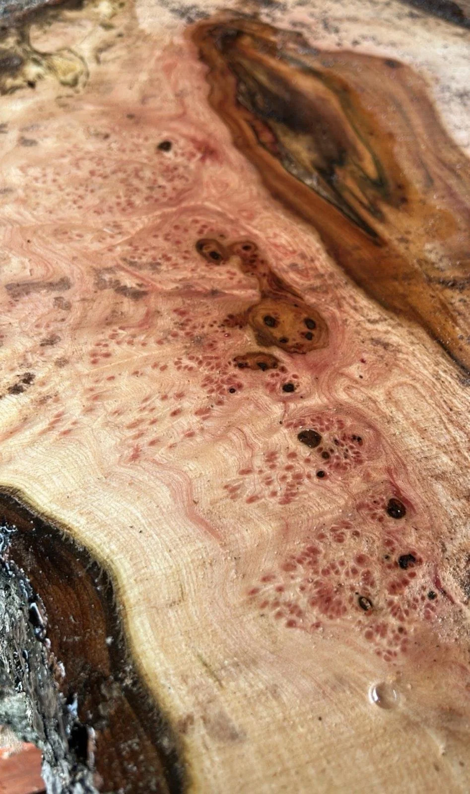 Burr elm boards