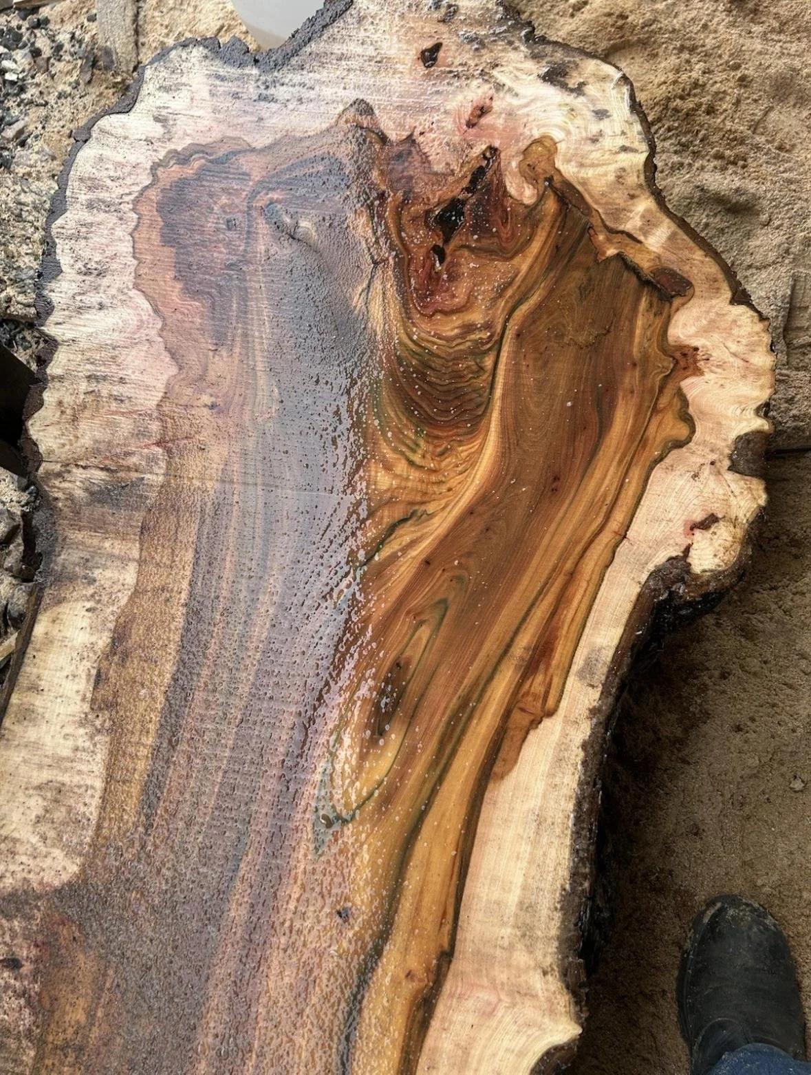 WhatsApp Image 2025-11-17 at 17.16.29(5).jpeg