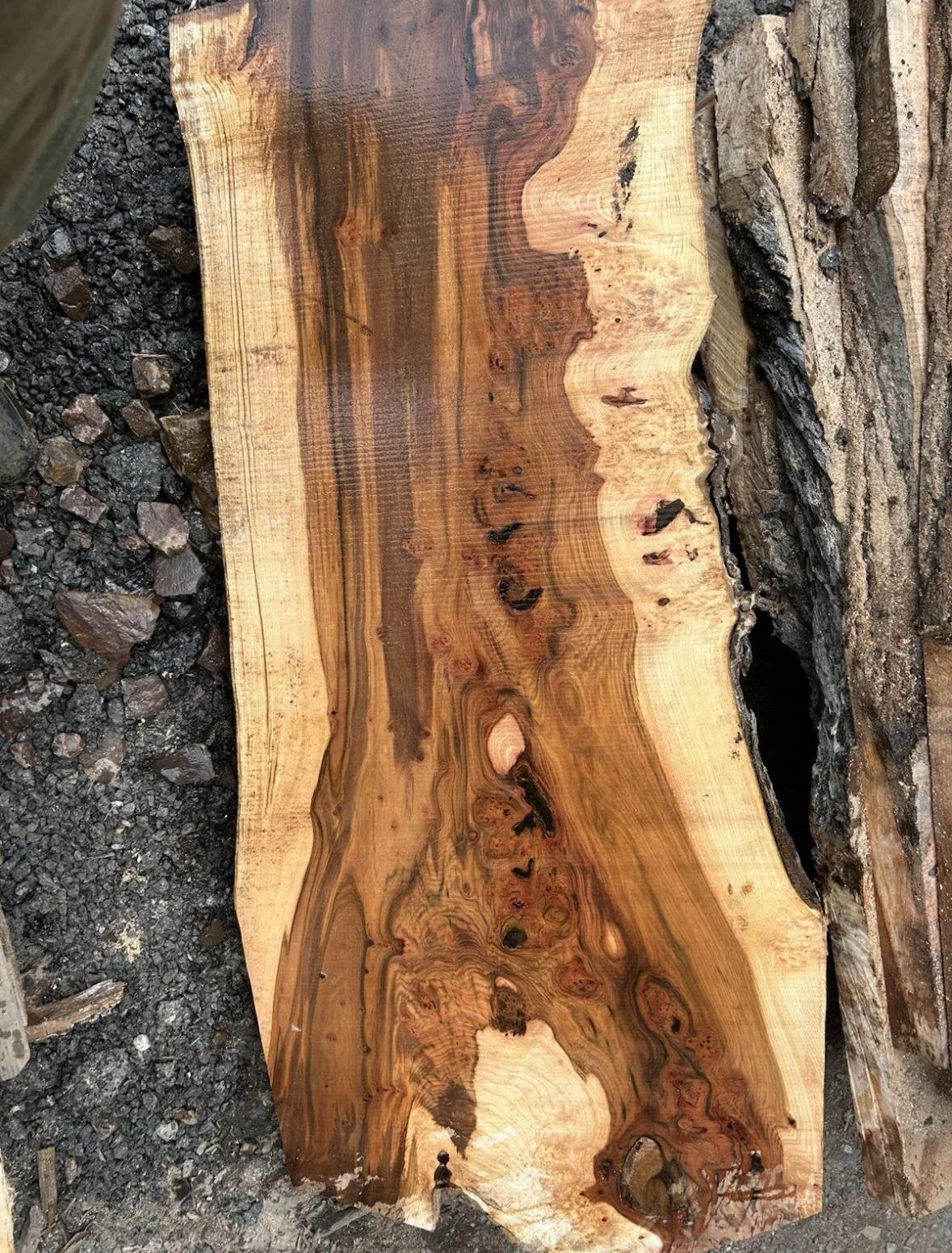 WhatsApp Image 2025-11-17 at 17.16.29(8).jpeg