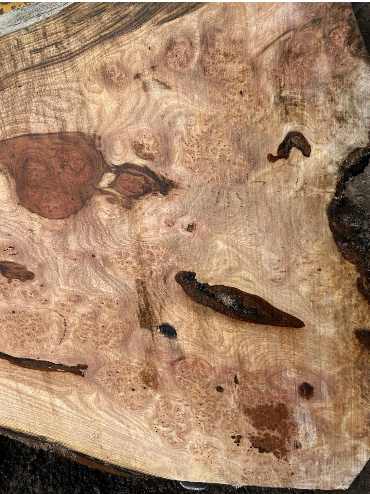 WhatsApp Image 2025-11-17 at 17.16.29(7).jpeg