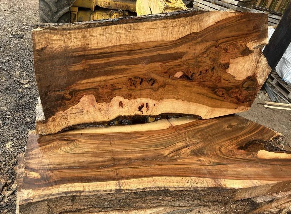 WhatsApp Image 2025-11-17 at 17.16.29(9).jpeg