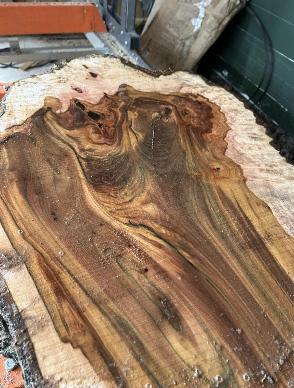 WhatsApp Image 2025-11-17 at 17.16.29(4).jpeg