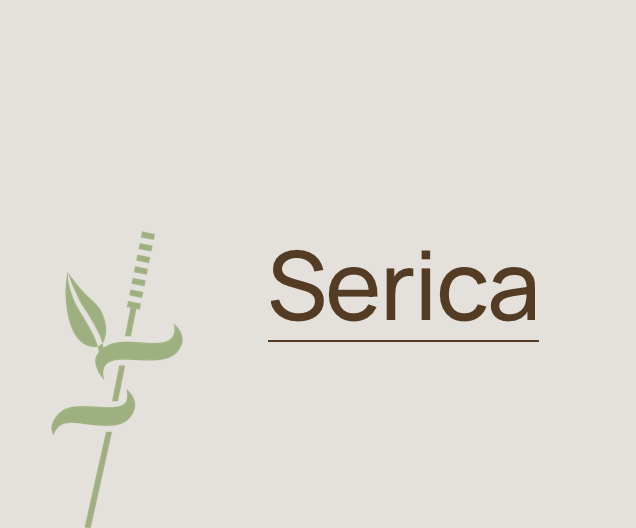 Link to Serica Traditional Chinese Medicine and Acupuncture Website