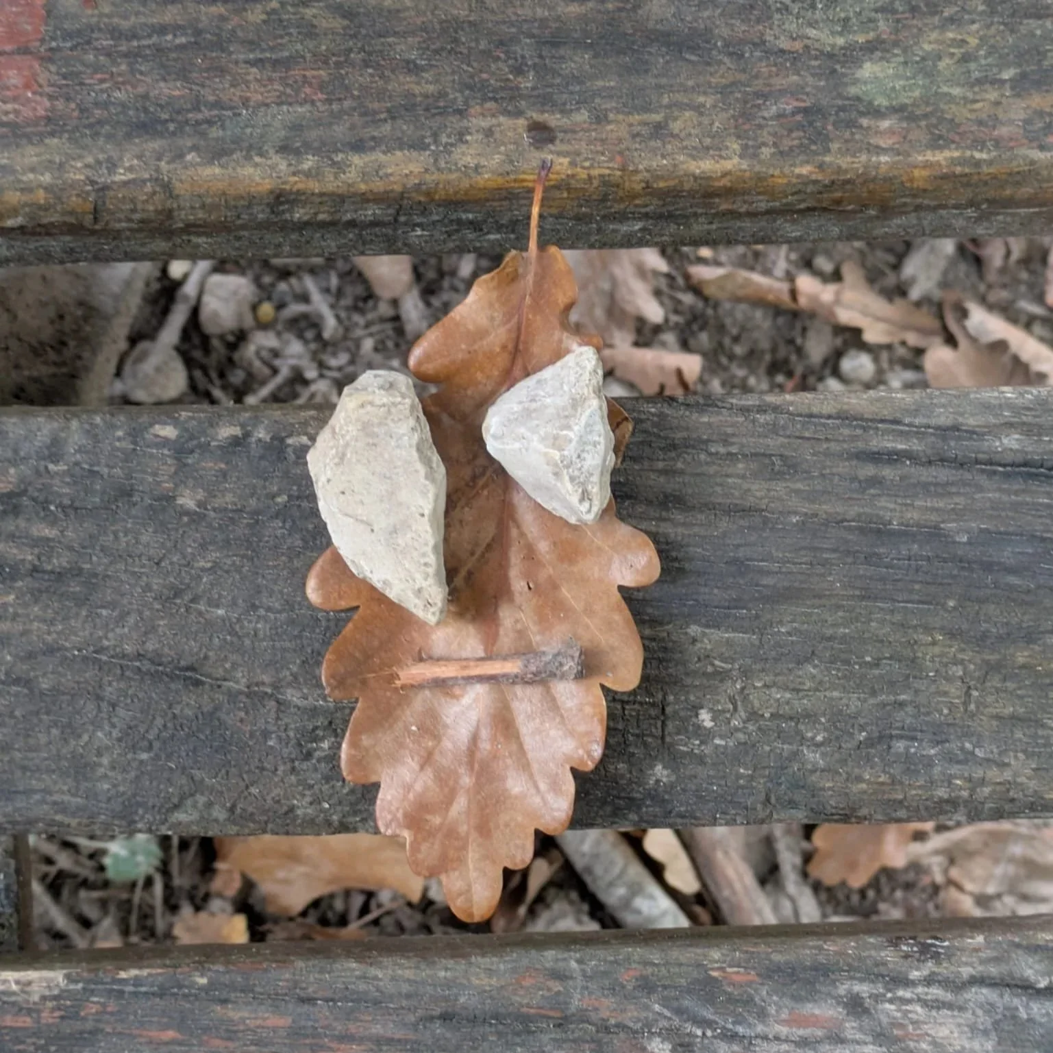 A dry brown oak leaf with two small rocks placed on top, lying on a wooden surface with dirt and additional fallen leaves underneath.
