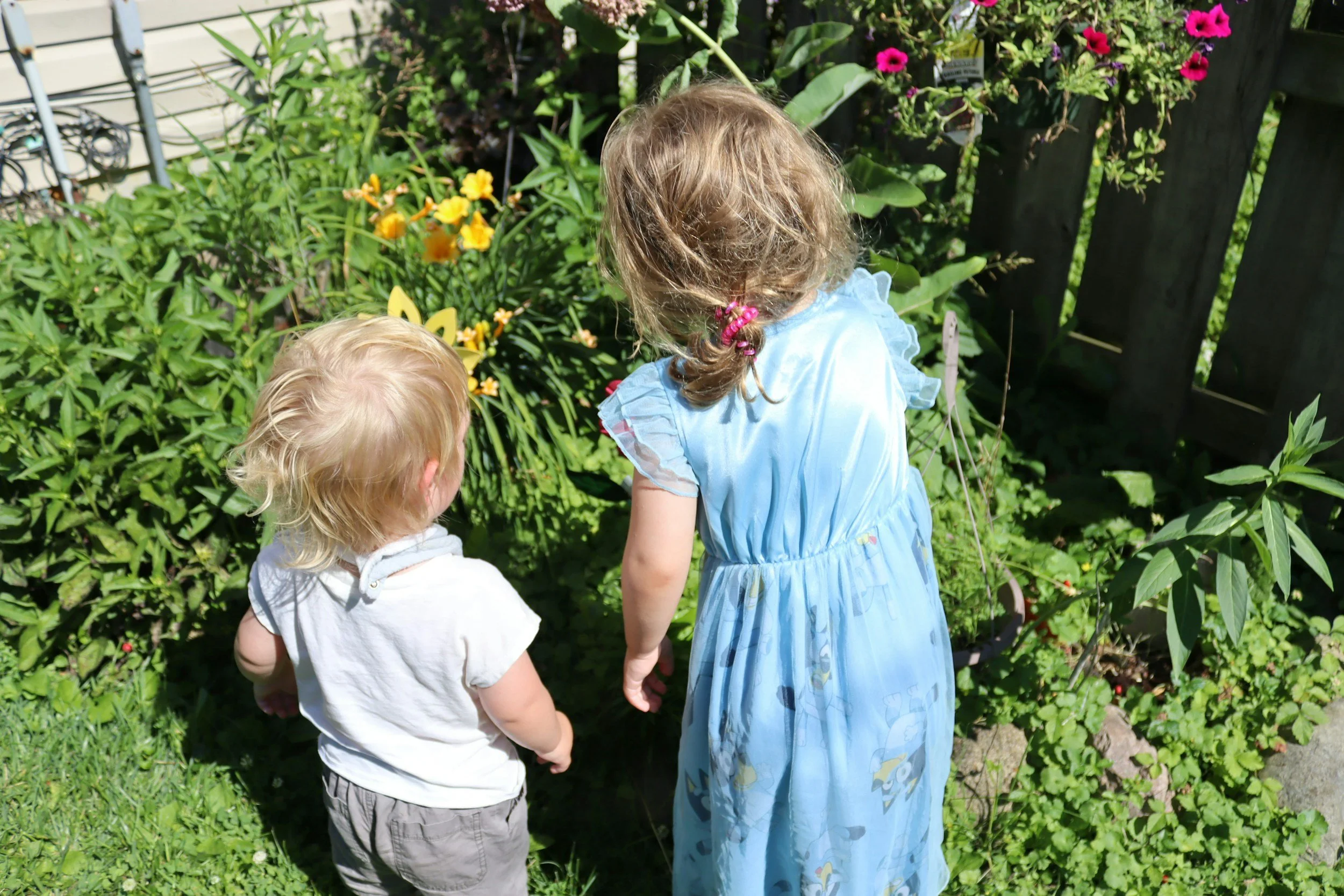 Two young children with blonde hair, a boy and a girl, stand in a garden surrounded by green plants and colorful flowers. They are seen from behind, with the girl wearing a blue dress and the boy wearing a white shirt and gray pants.