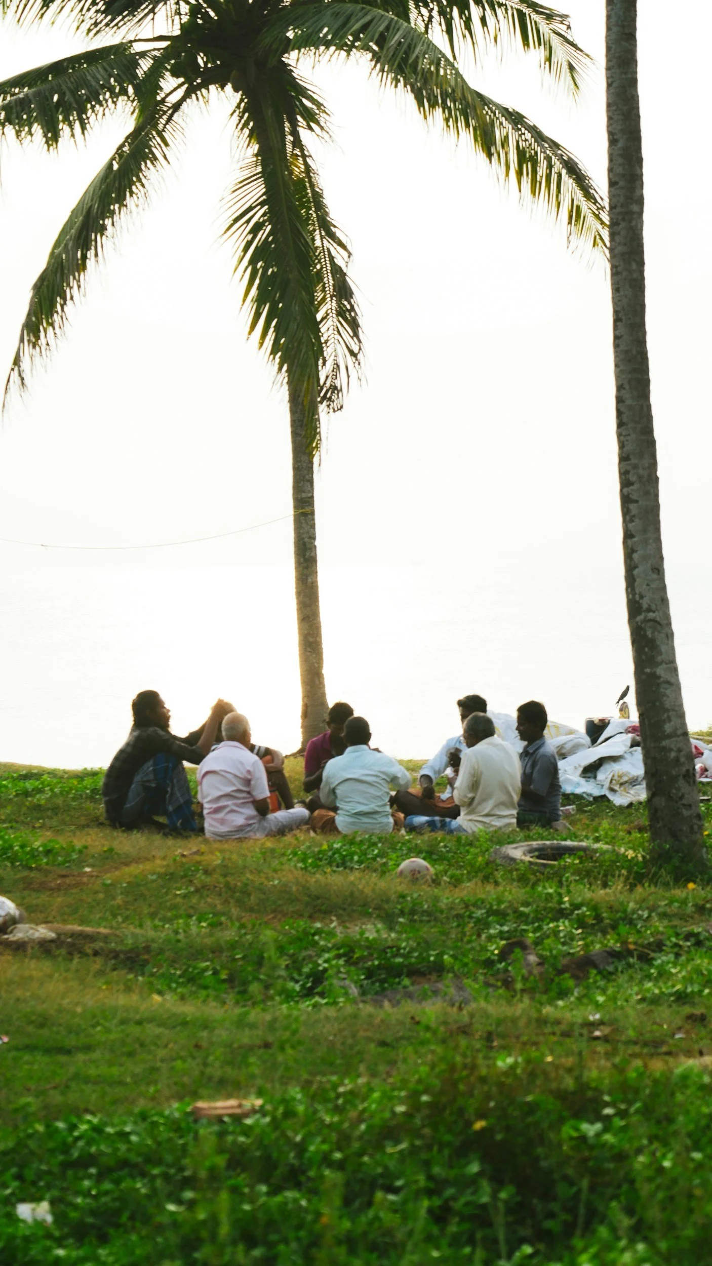 Group of people sitting on grass near palm trees by the water, having a conversation.