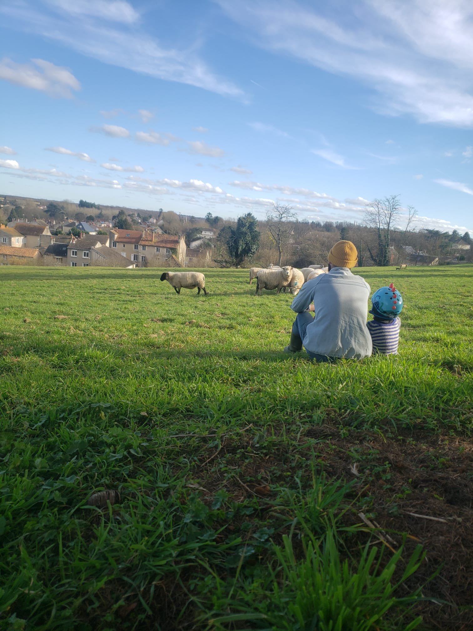 A person and a child sitting on grass watching sheep in a field under a blue sky with scattered clouds