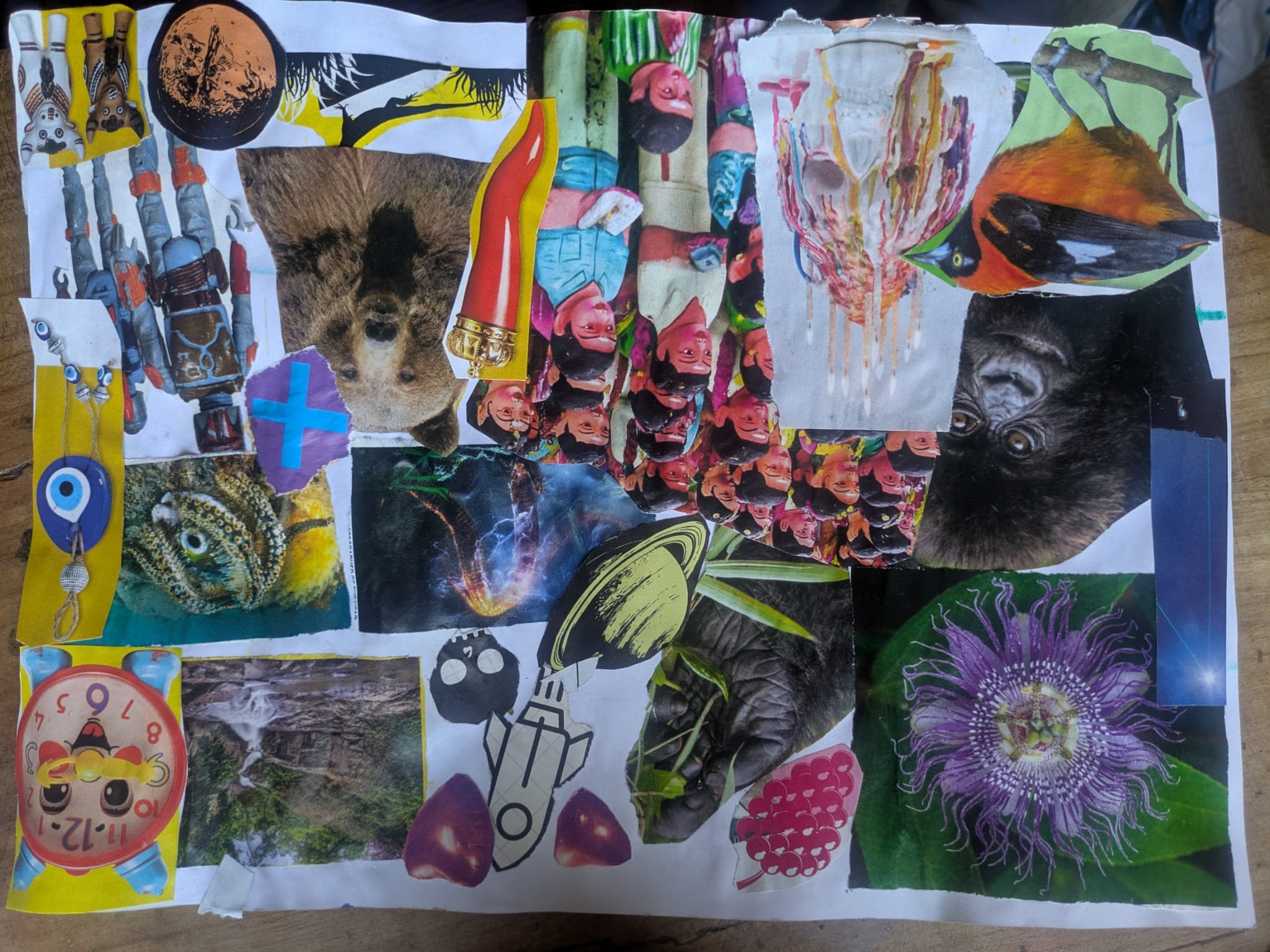 Collage of various images including animals, a clock, a person, flowers, and abstract art.