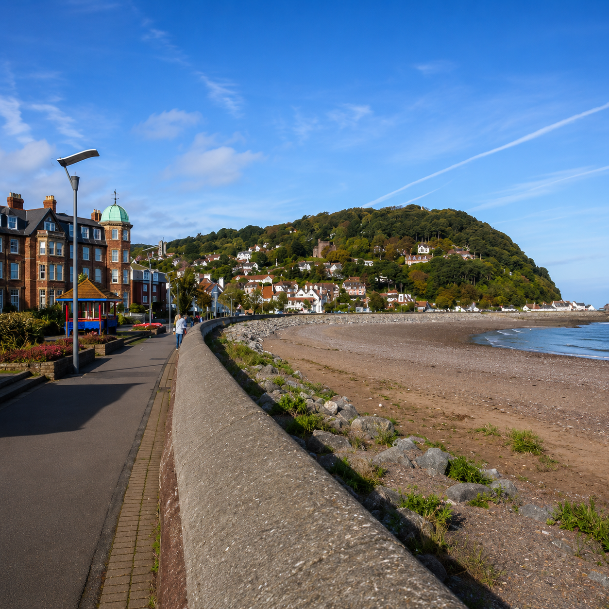 Windows and doors in minehead