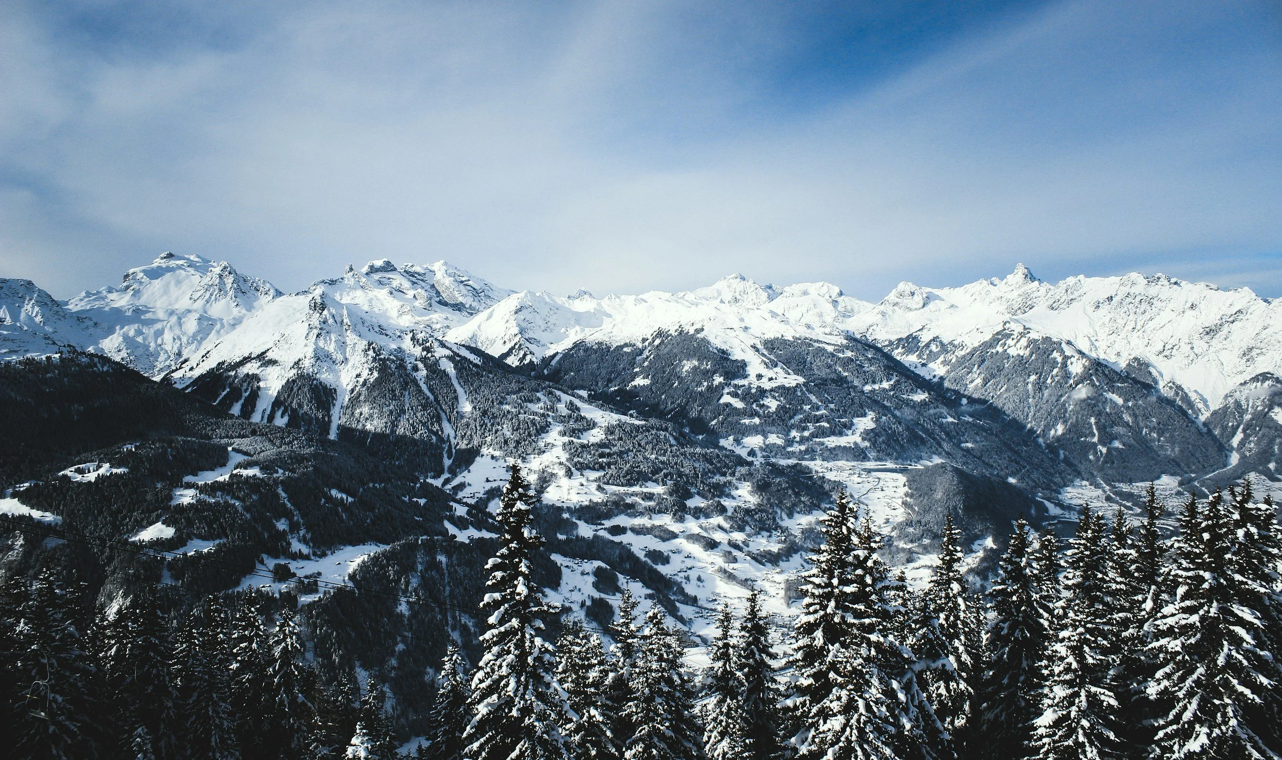 Snow-covered mountain range under a blue sky with pine trees in the foreground.