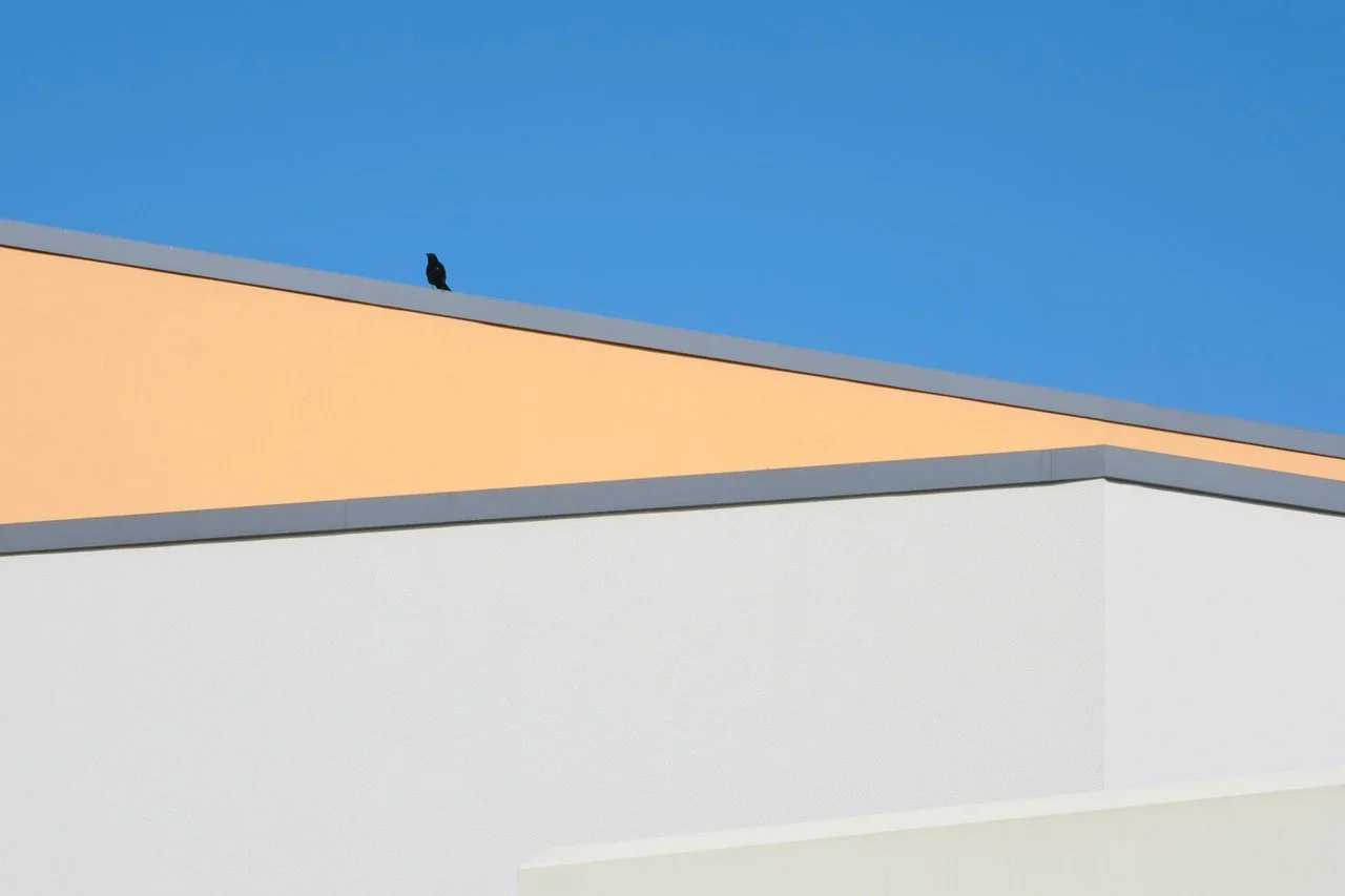 The sentinel 1 (1).jpeg