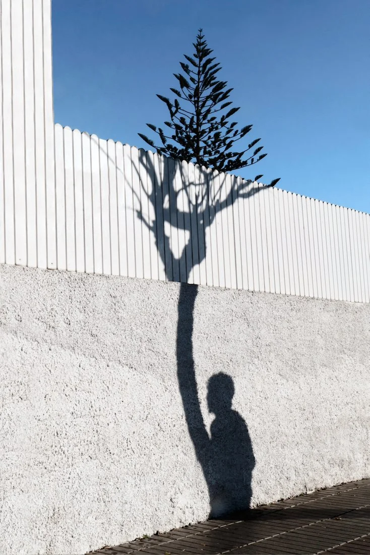 Man in tree.jpeg