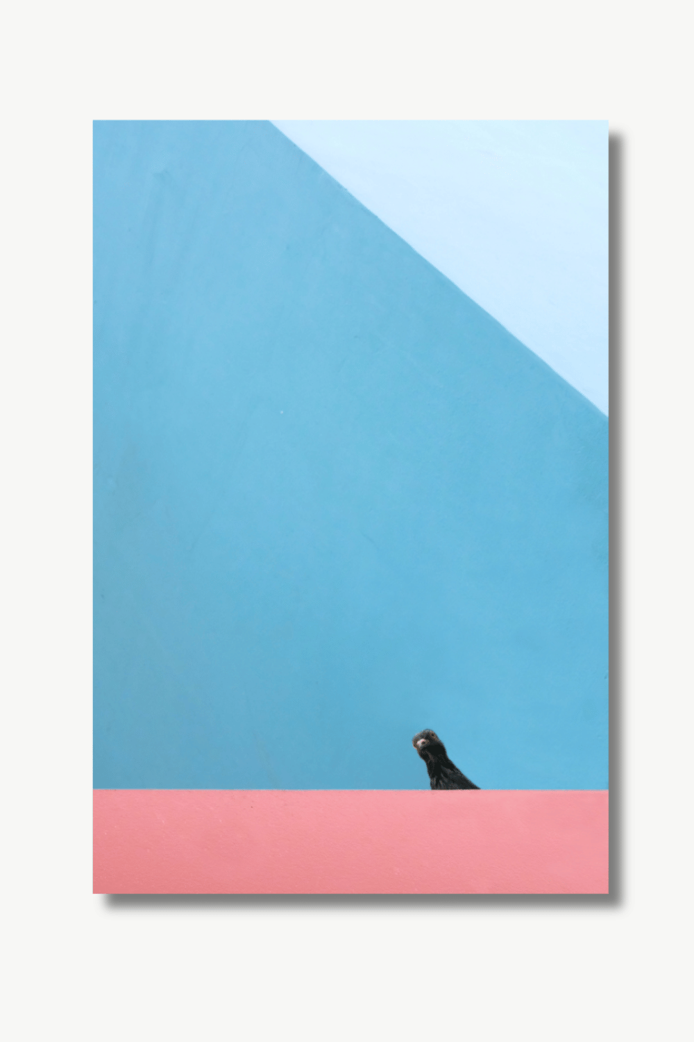 "THE SENTINEL II" Guido Klumpe, Fotoprint, verschiedene Größen (Kopie)