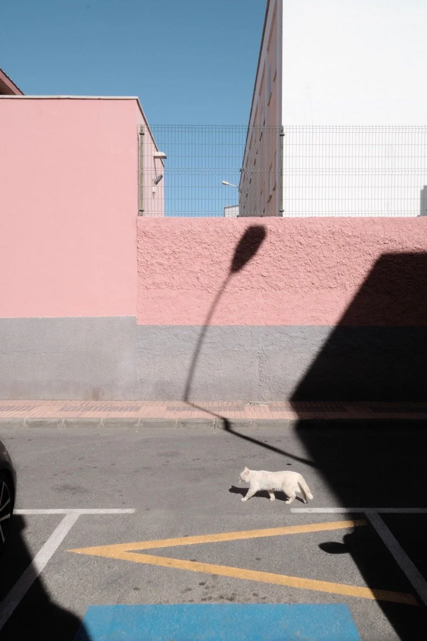 "MORNING WALK"  Guido Klumpe