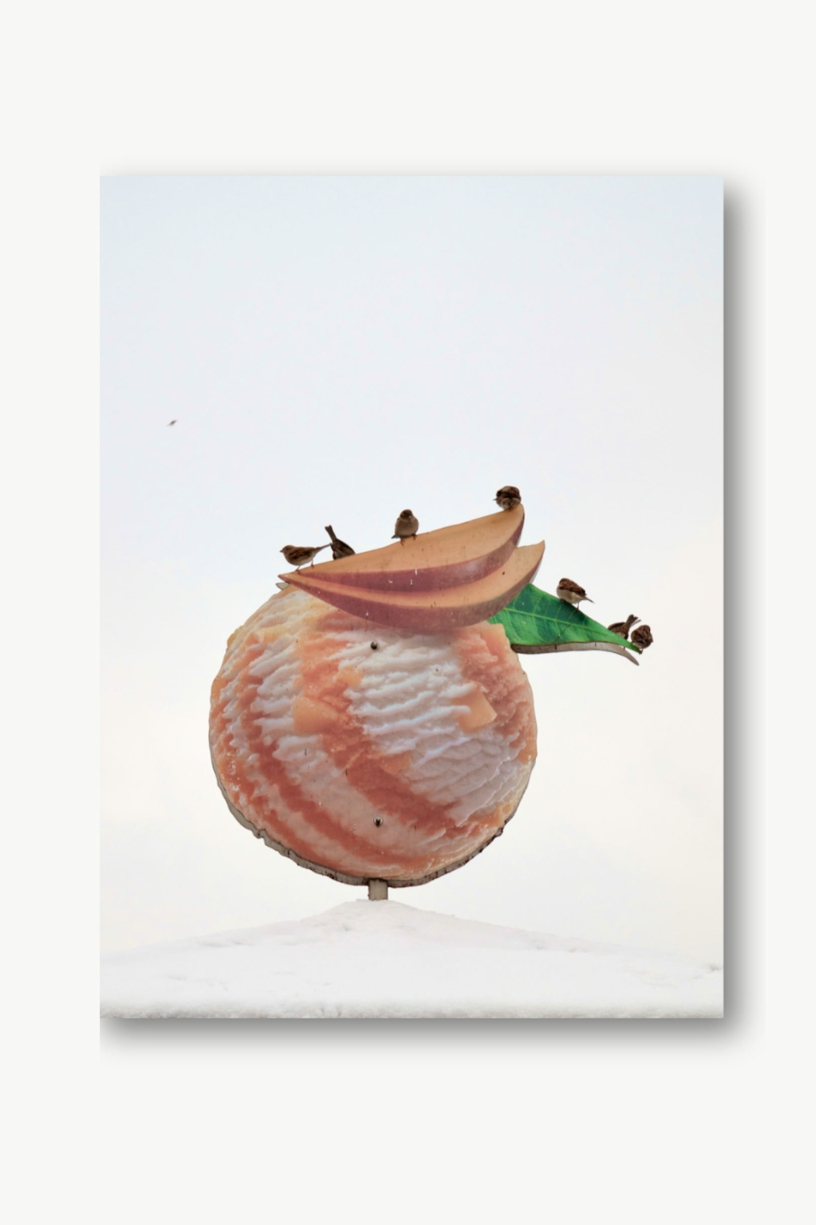 "CROWDED PEACH"  Guido Klumpe