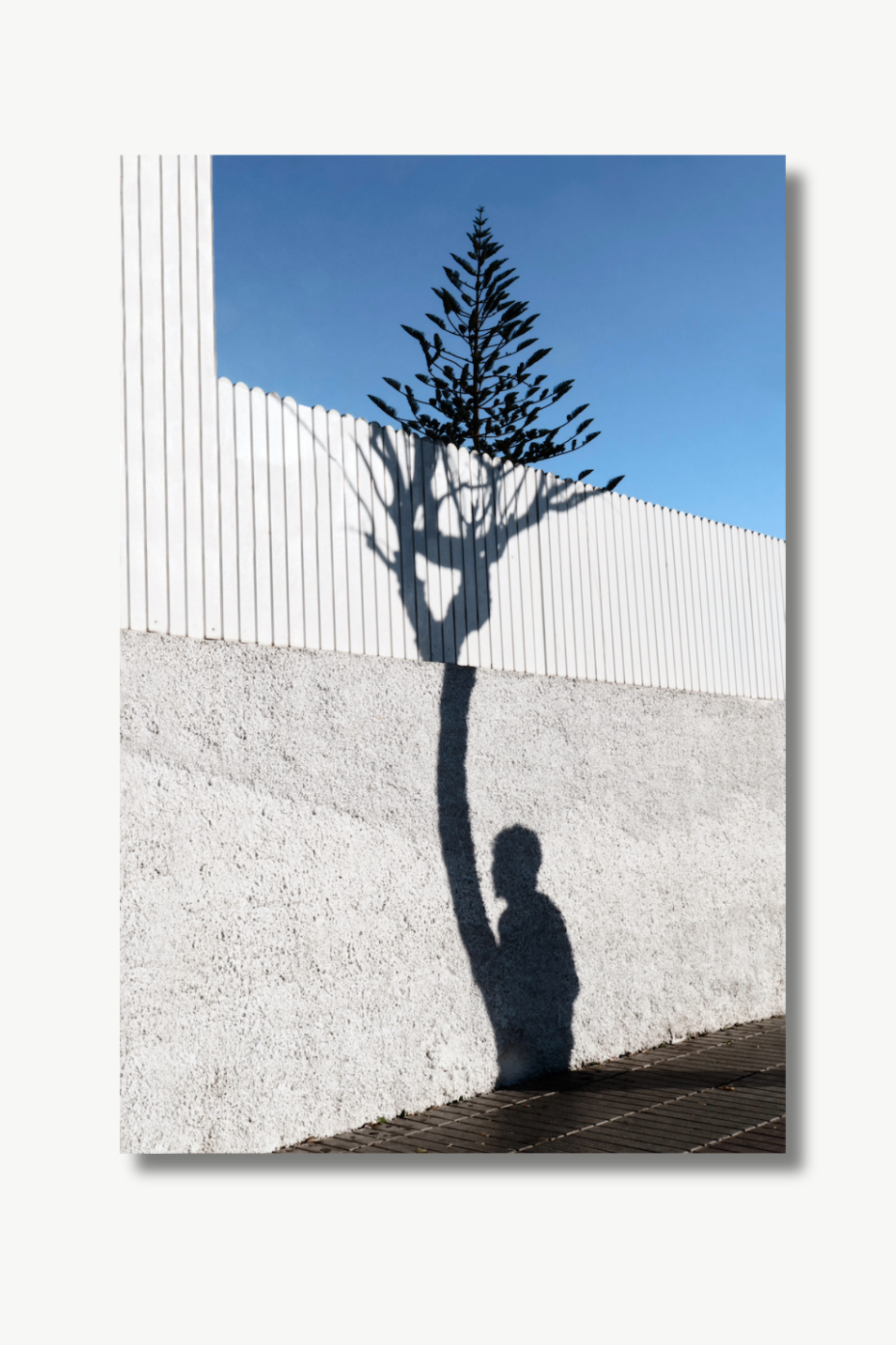 Website-Bilder (13).png