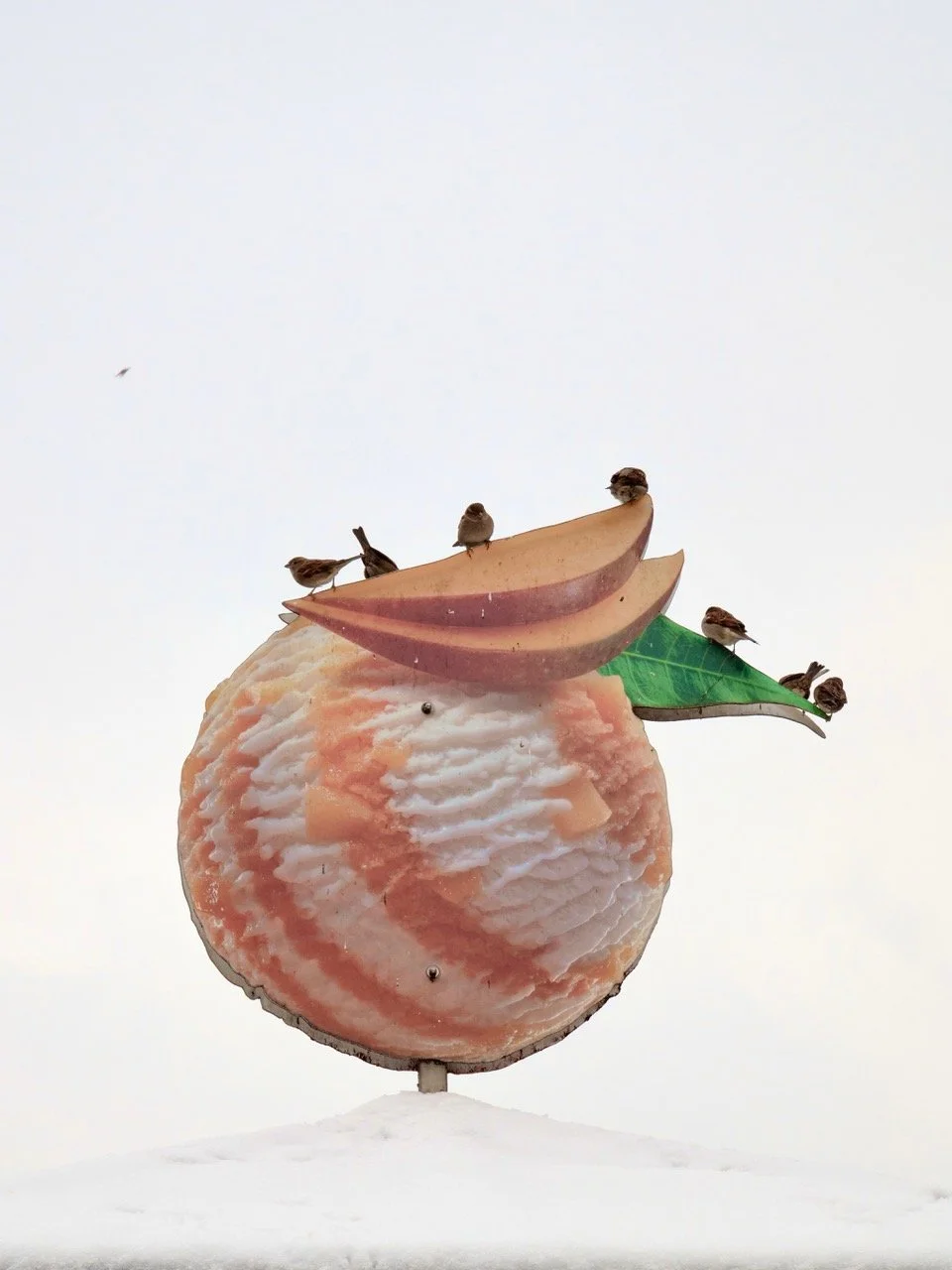 "CROWDED PEACH"  Guido Klumpe