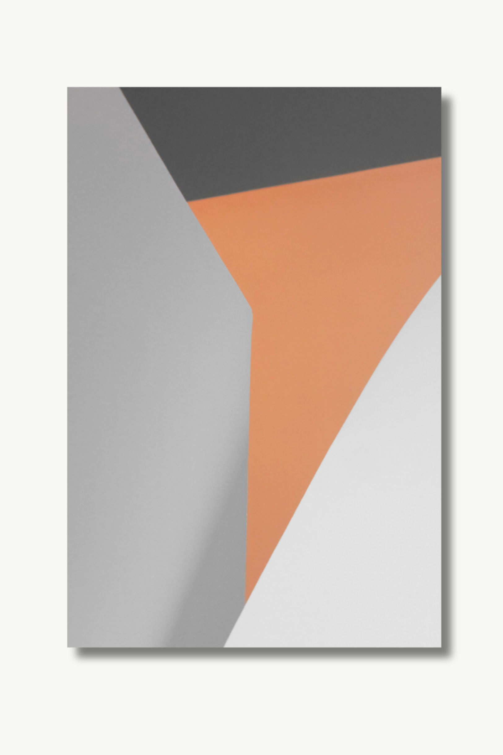 "APRICOT"  Guido Klumpe