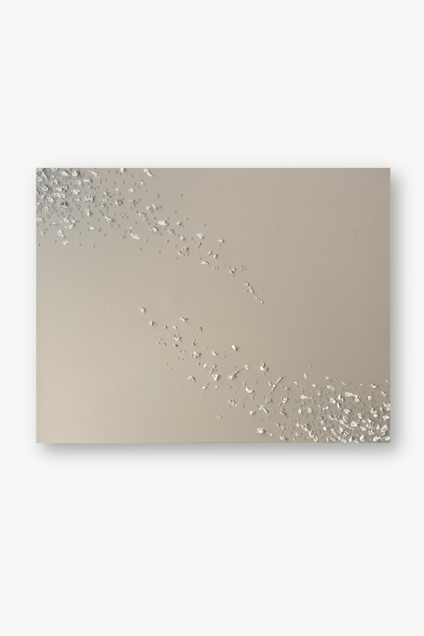 Website-Bilder (9).png
