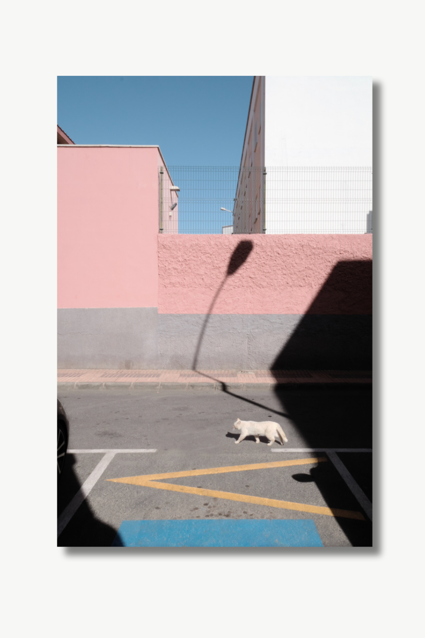 "MORNING WALK"  Guido Klumpe