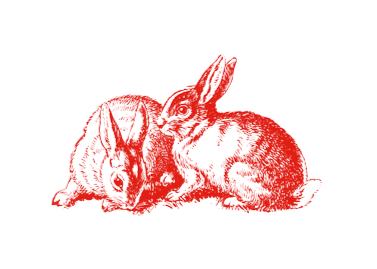 Deux lapins rouges dessinés en rouge, style gravure.
