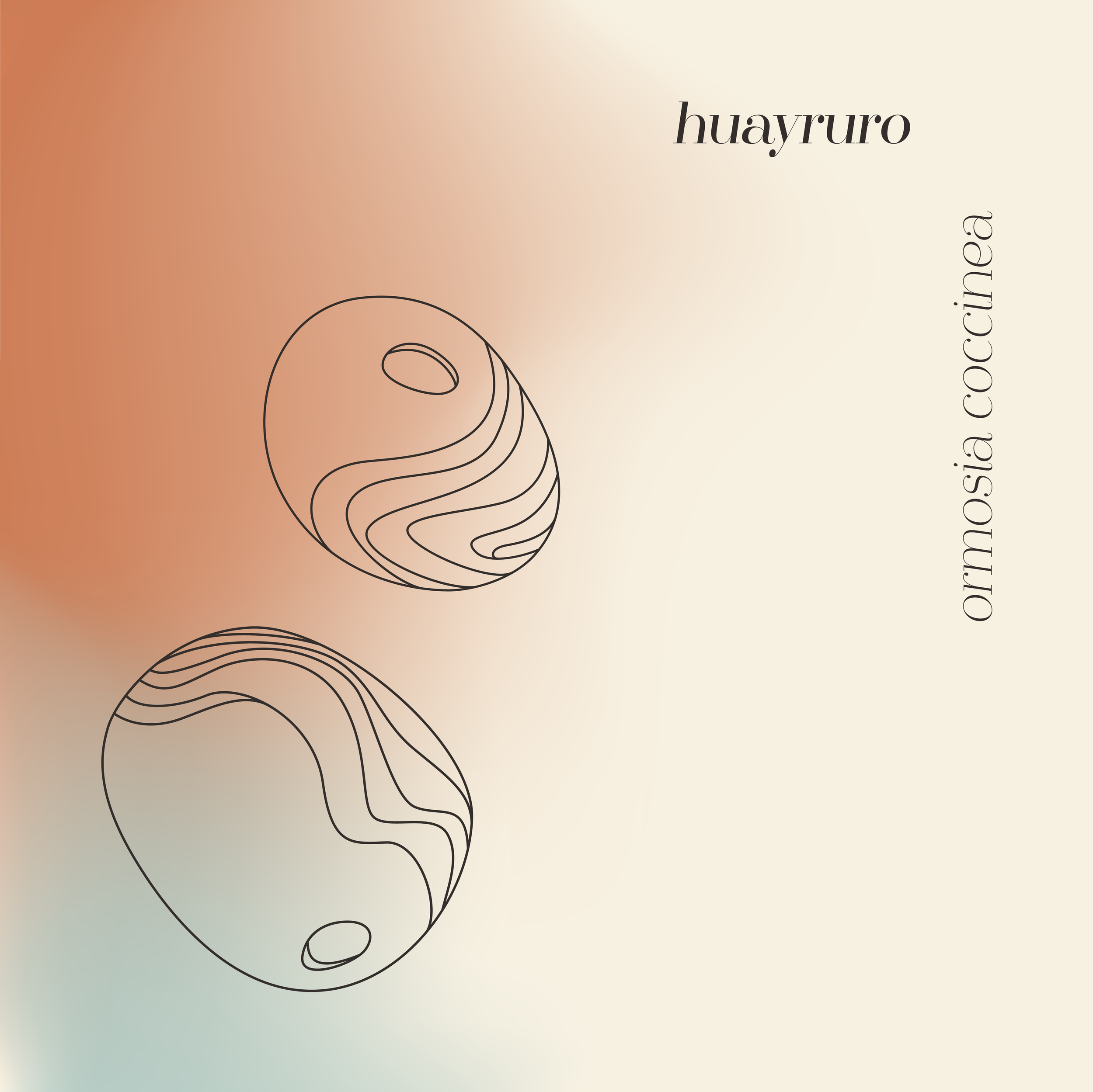 Illustrationen (Huayruro Kern)