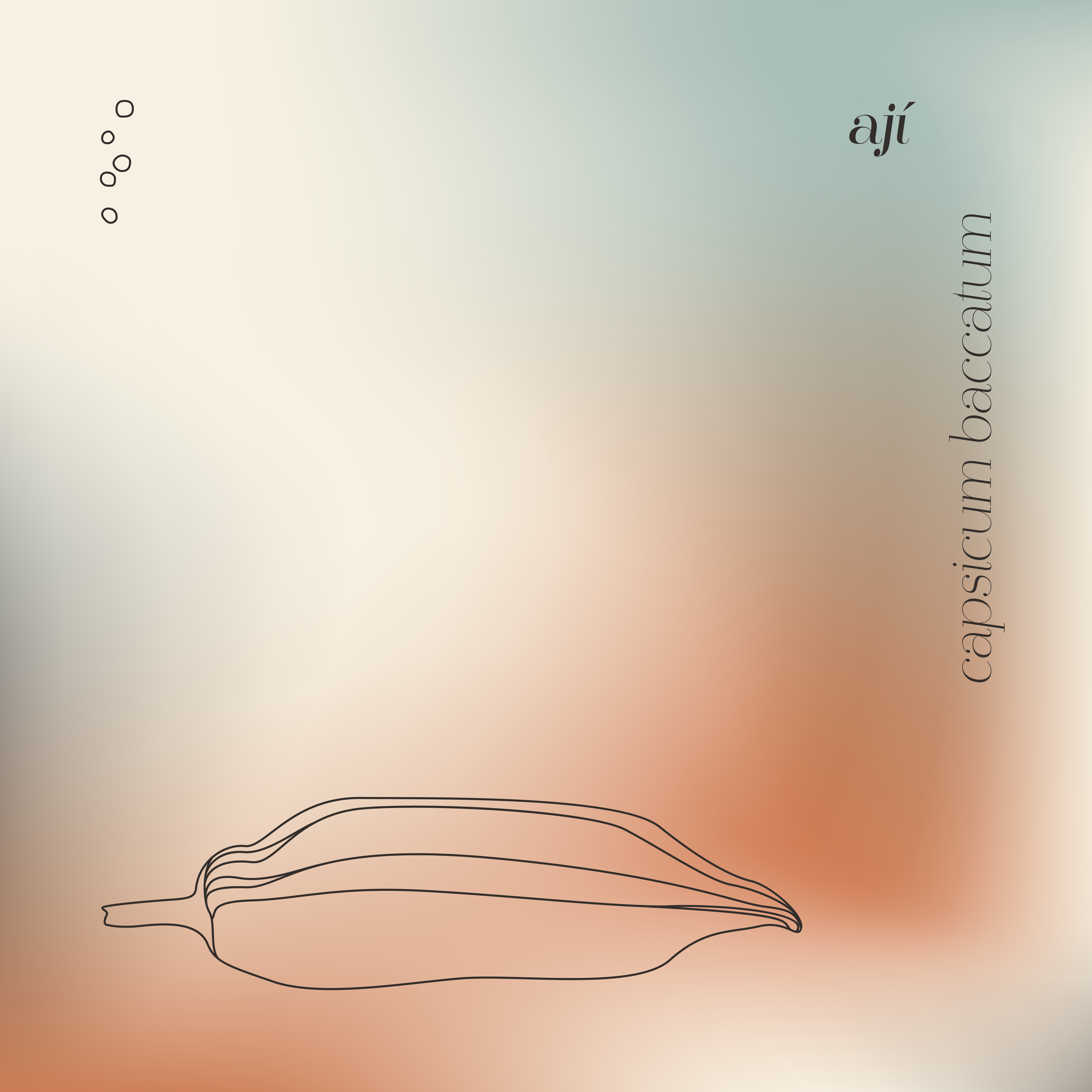 Illustrationen (Chillischote)