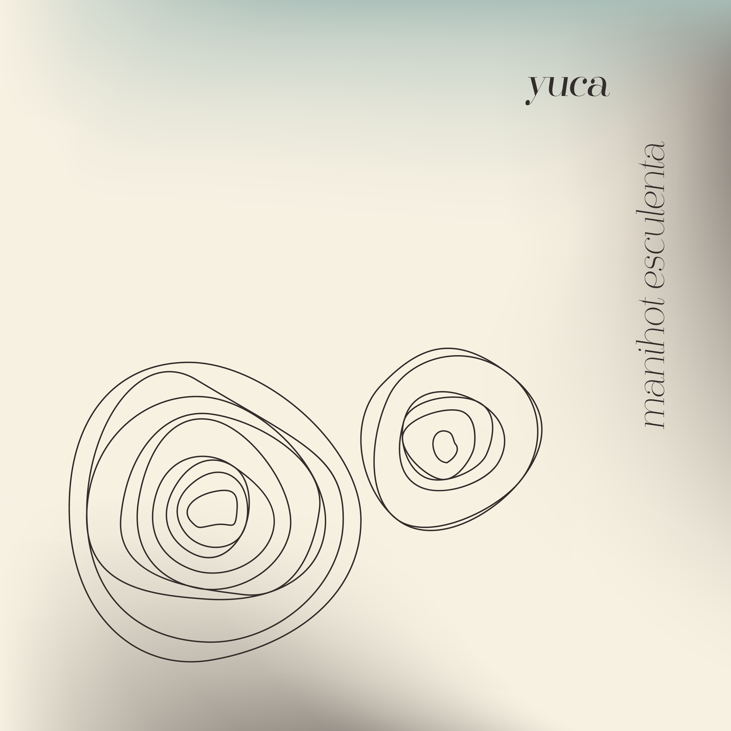 Illustrationen (Frittierte Maniok)