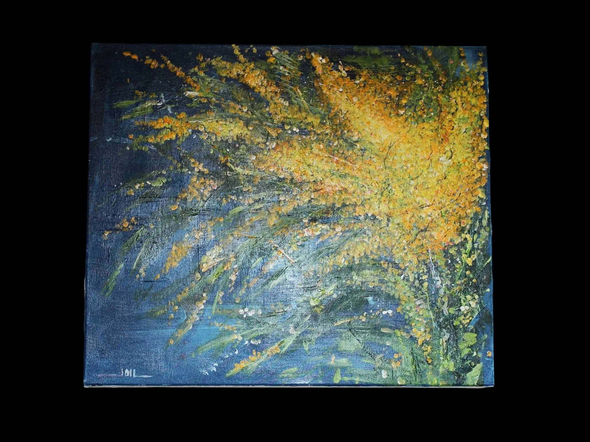 Nature brute et vivante