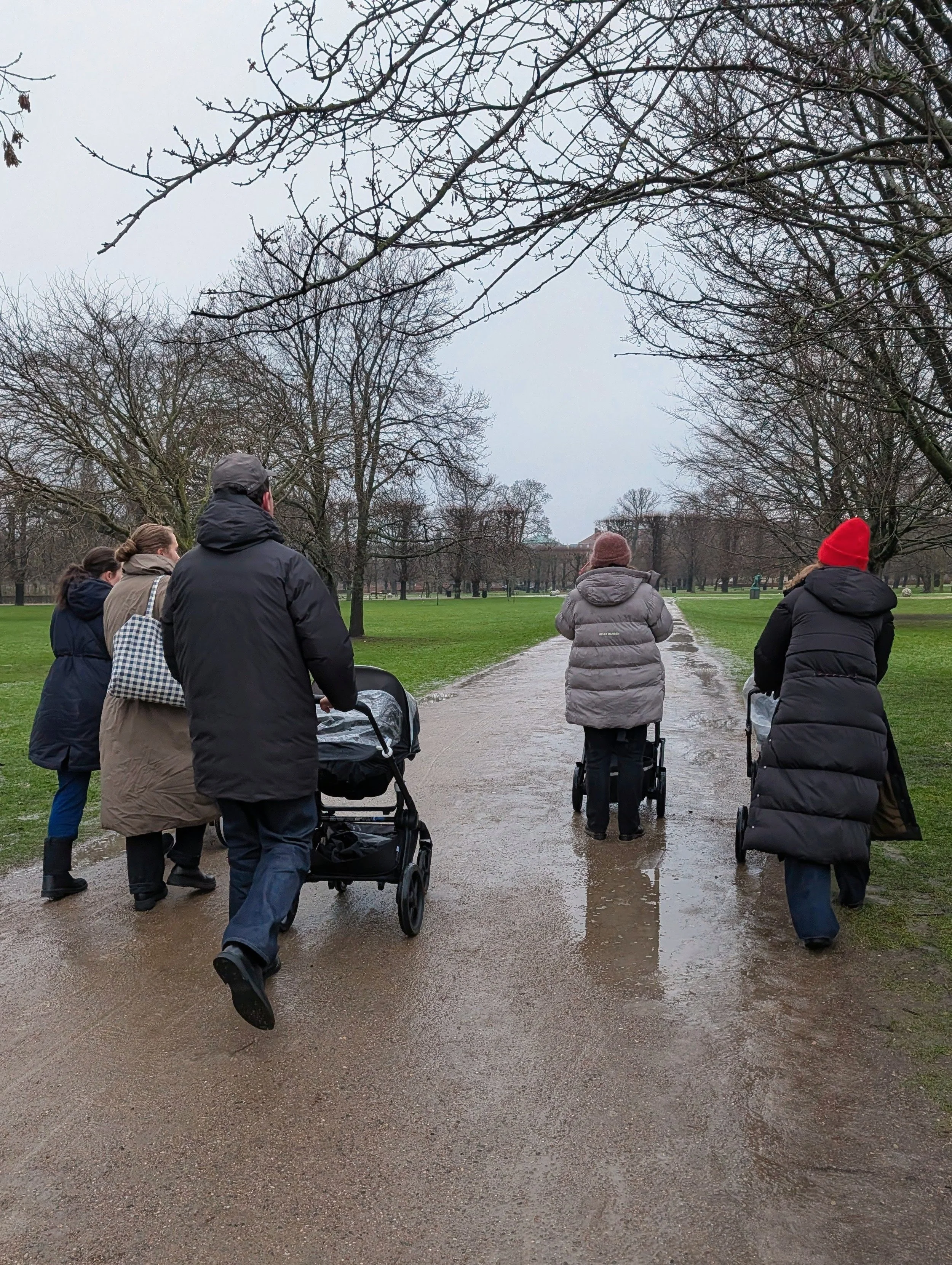 People walking with strollers on a wet park path on a cloudy day, with leafless trees lining the path.
