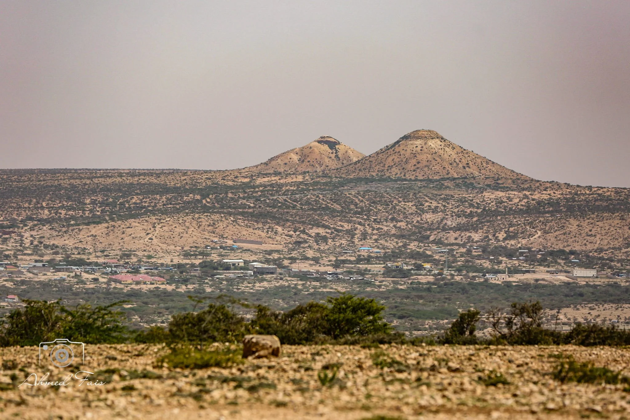 Desert landscape with two isolated volcanic hills or small mountains in the background and a small layer of buildings and houses at the base of the hills, with sparse vegetation and trees in the foreground.