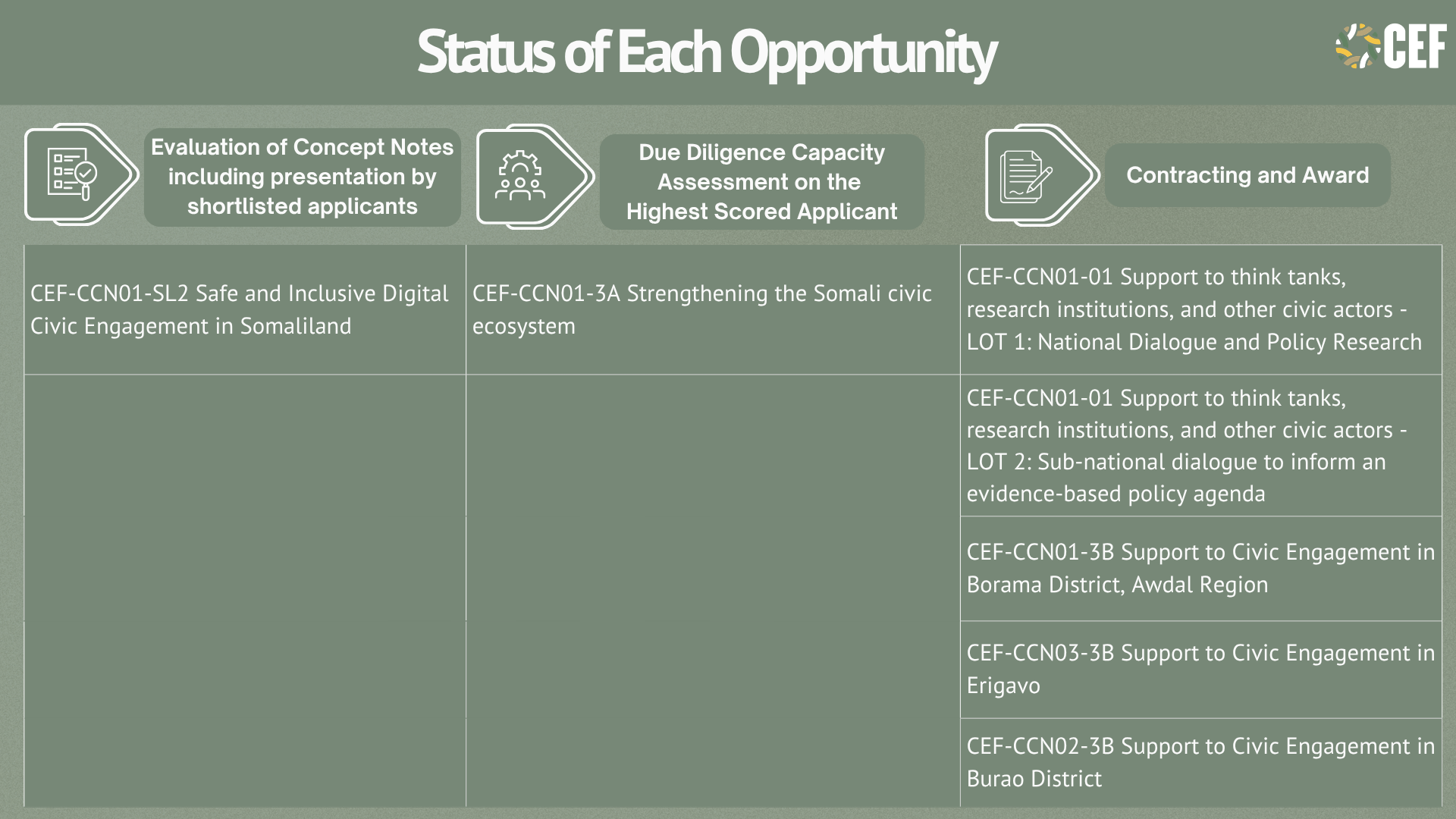 Flowchart titled 'Status of Each Call' with icons of a handshake and a checklist. It details various civic engagement projects, with numbered descriptions of each.