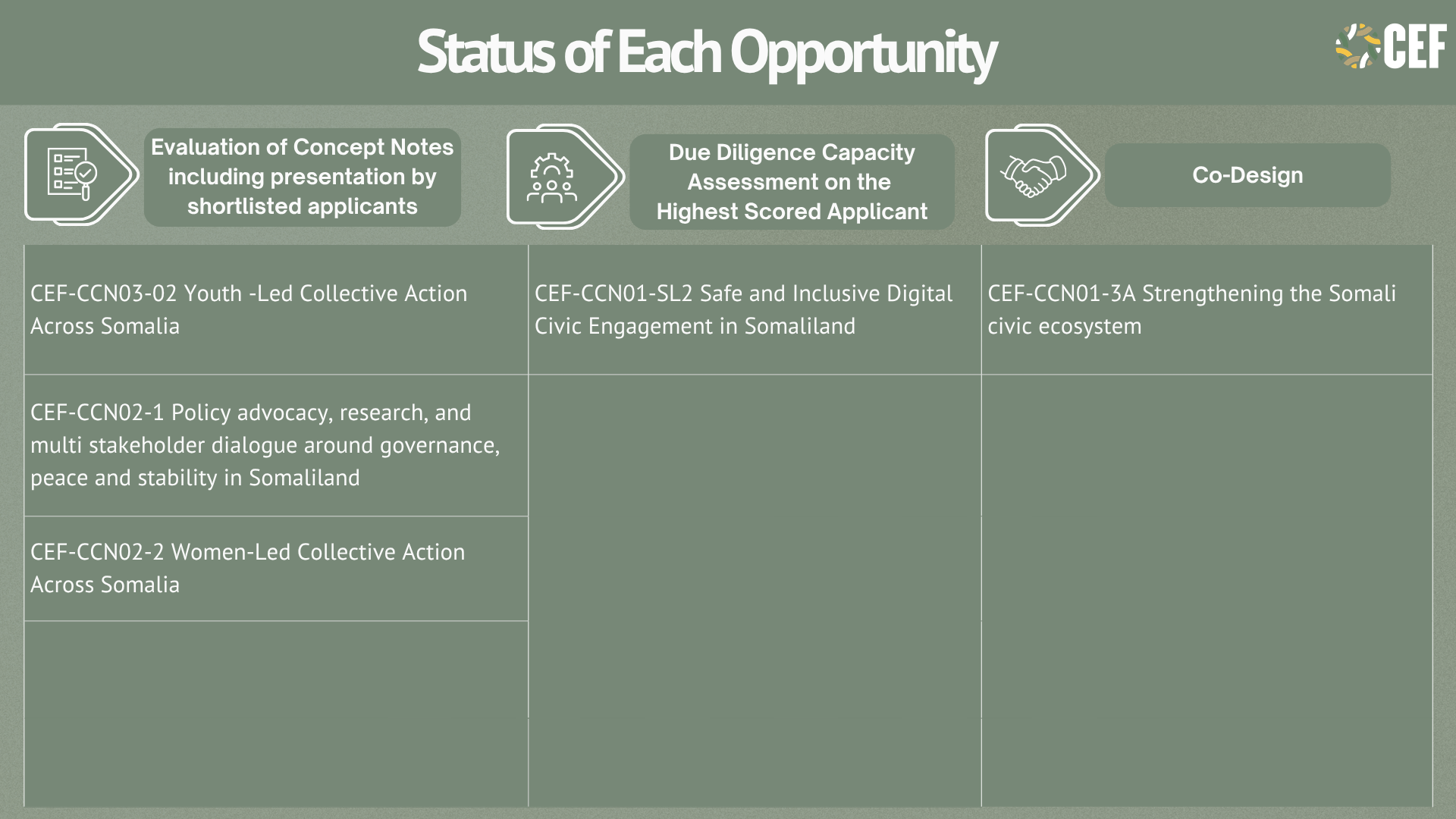 Flowchart titled 'Status of Each Call' with icons of a handshake and a checklist. It details various civic engagement projects, with numbered descriptions of each.