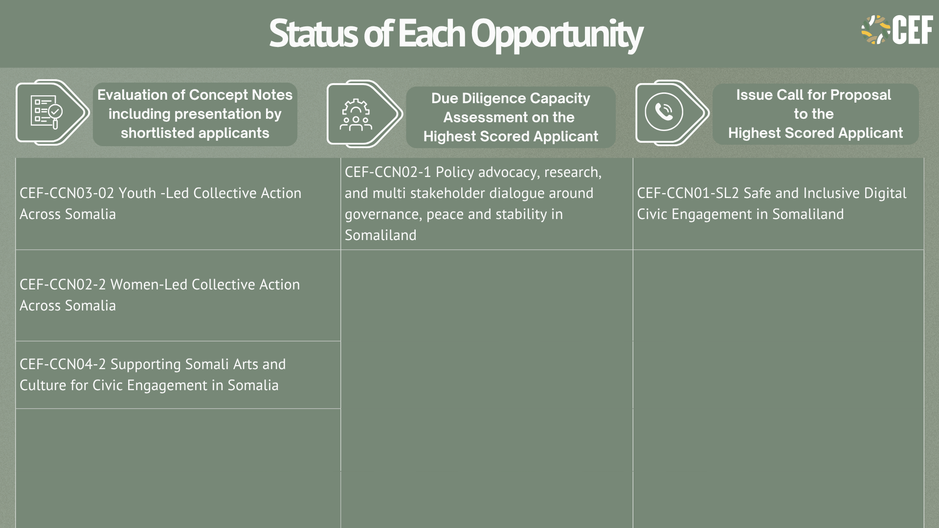 Flowchart titled 'Status of Each Call' with icons of a handshake and a checklist. It details various civic engagement projects, with numbered descriptions of each.