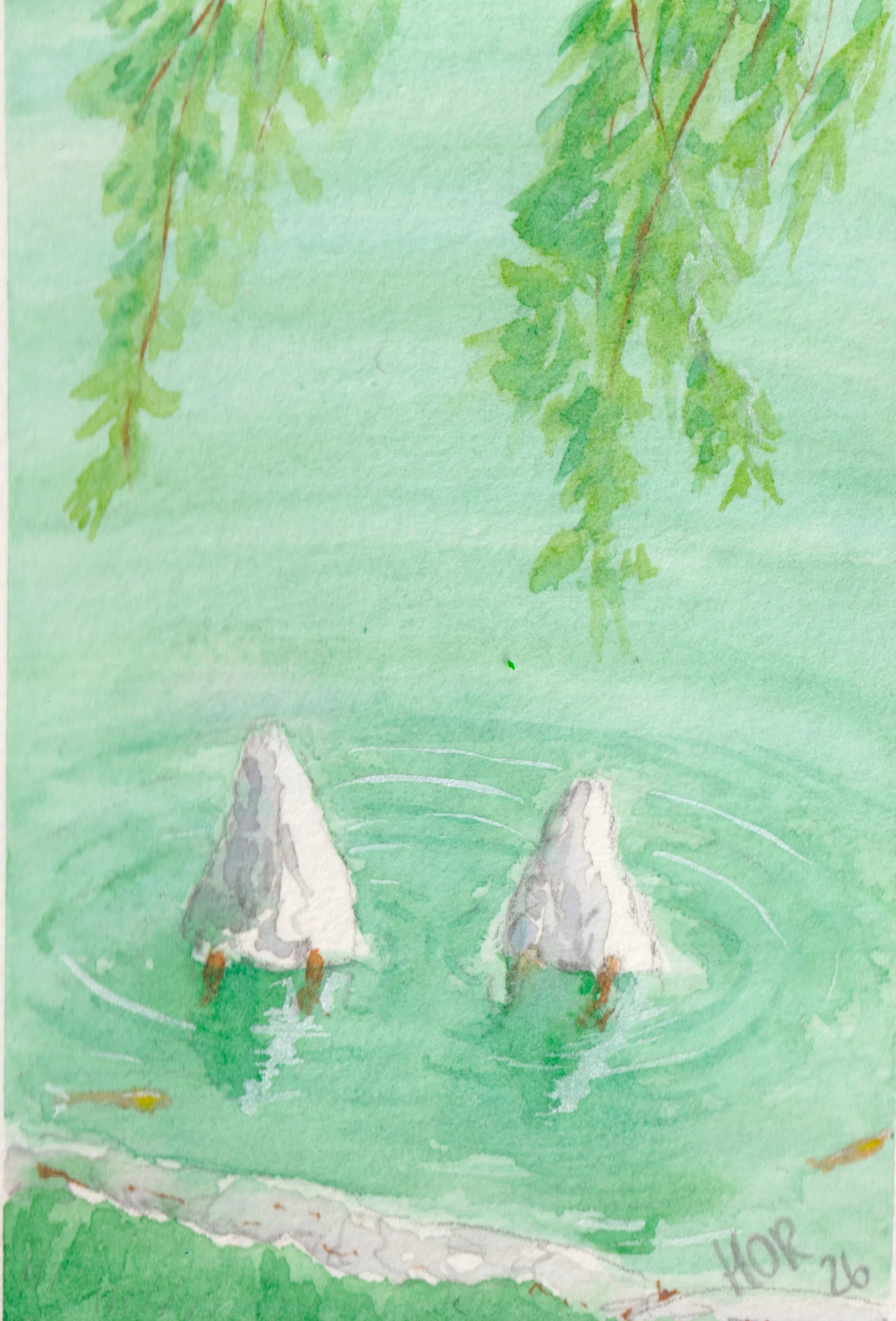 Watercolour Ducks in pond