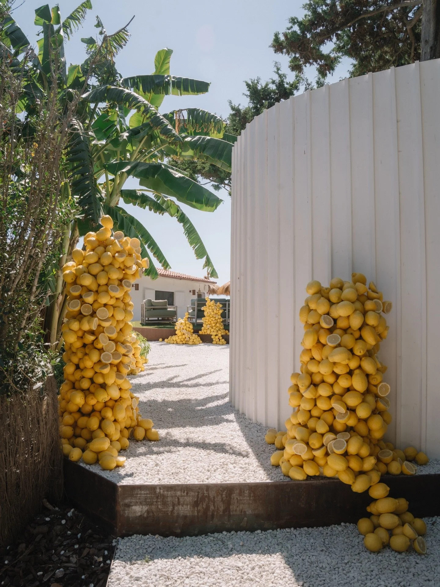 We followed a crazy idea&hellip; and turned it into a lemon-sculpted entrance you can&rsquo;t forget 🍋✨

Wp: @mooshevents 
Ph: @barbarossa_studio 
Location: @isolottobeachclub