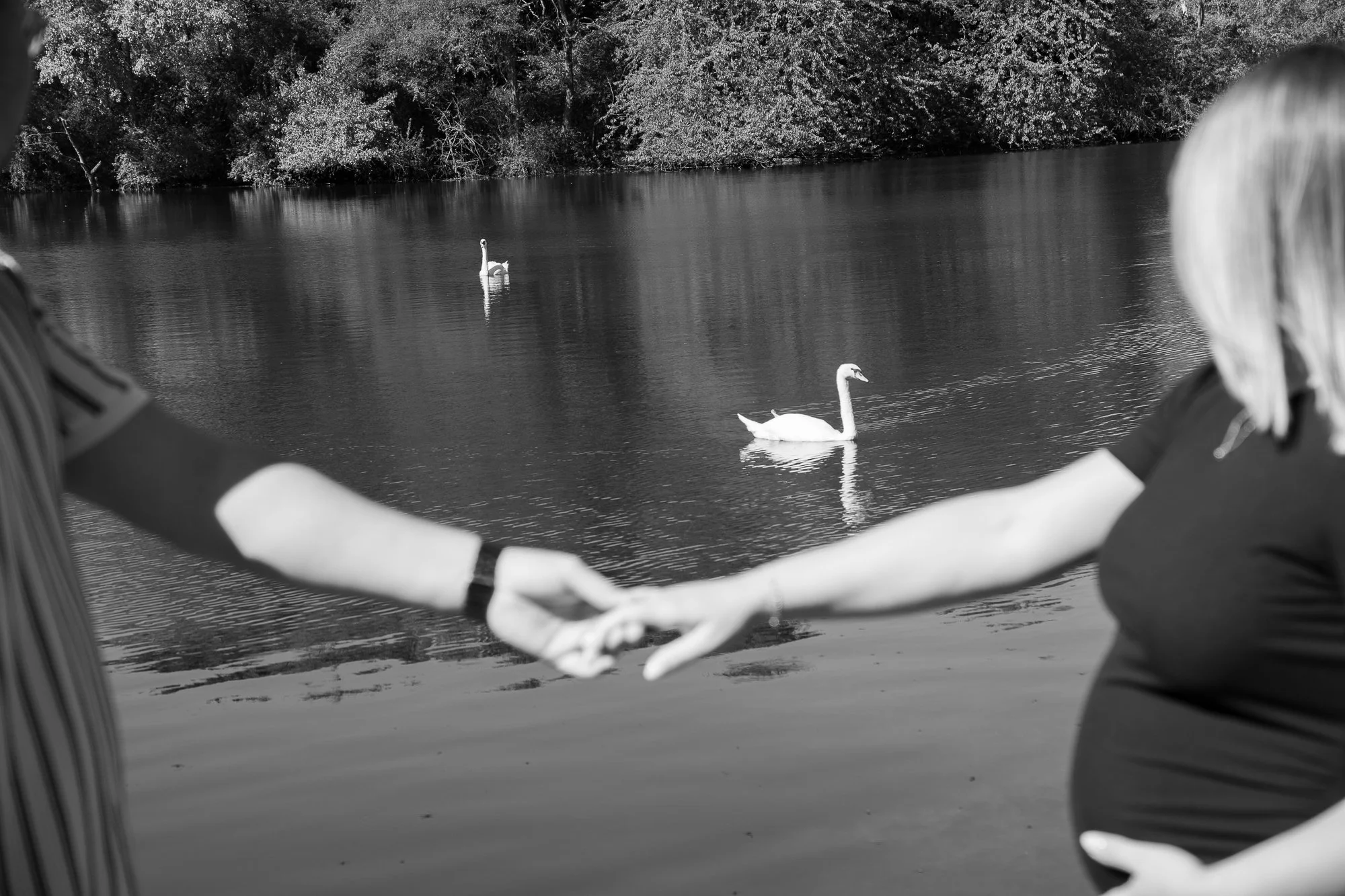 Zwei verliebte Menschen halten sich an den Händen, im Hintergrund ein See mit zwei Schwänen, umgeben von Bäumen.