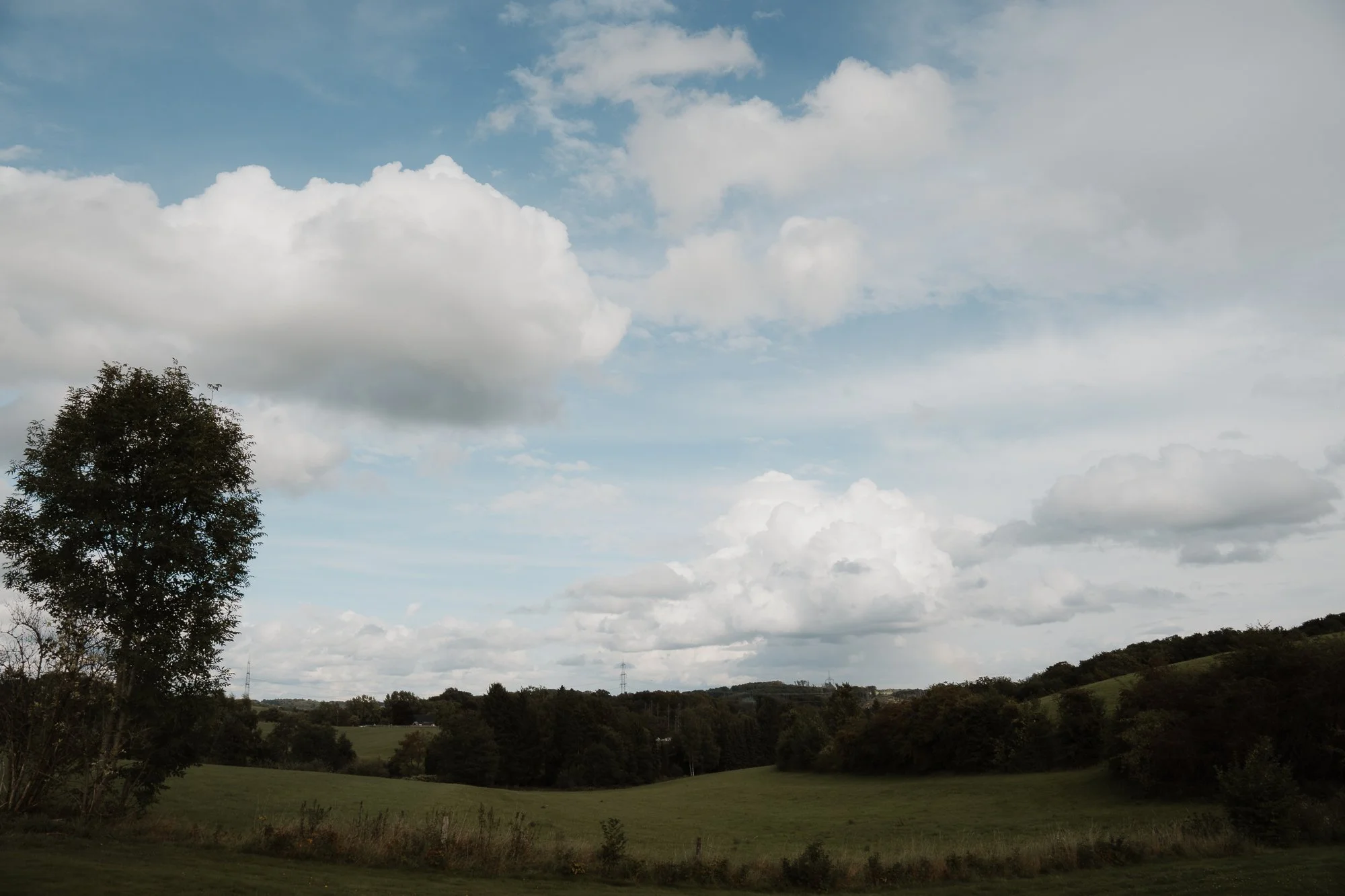 Landschaft mit grünen Hügeln, Bäumen und einem blauen Himmel mit weißen Wolken.