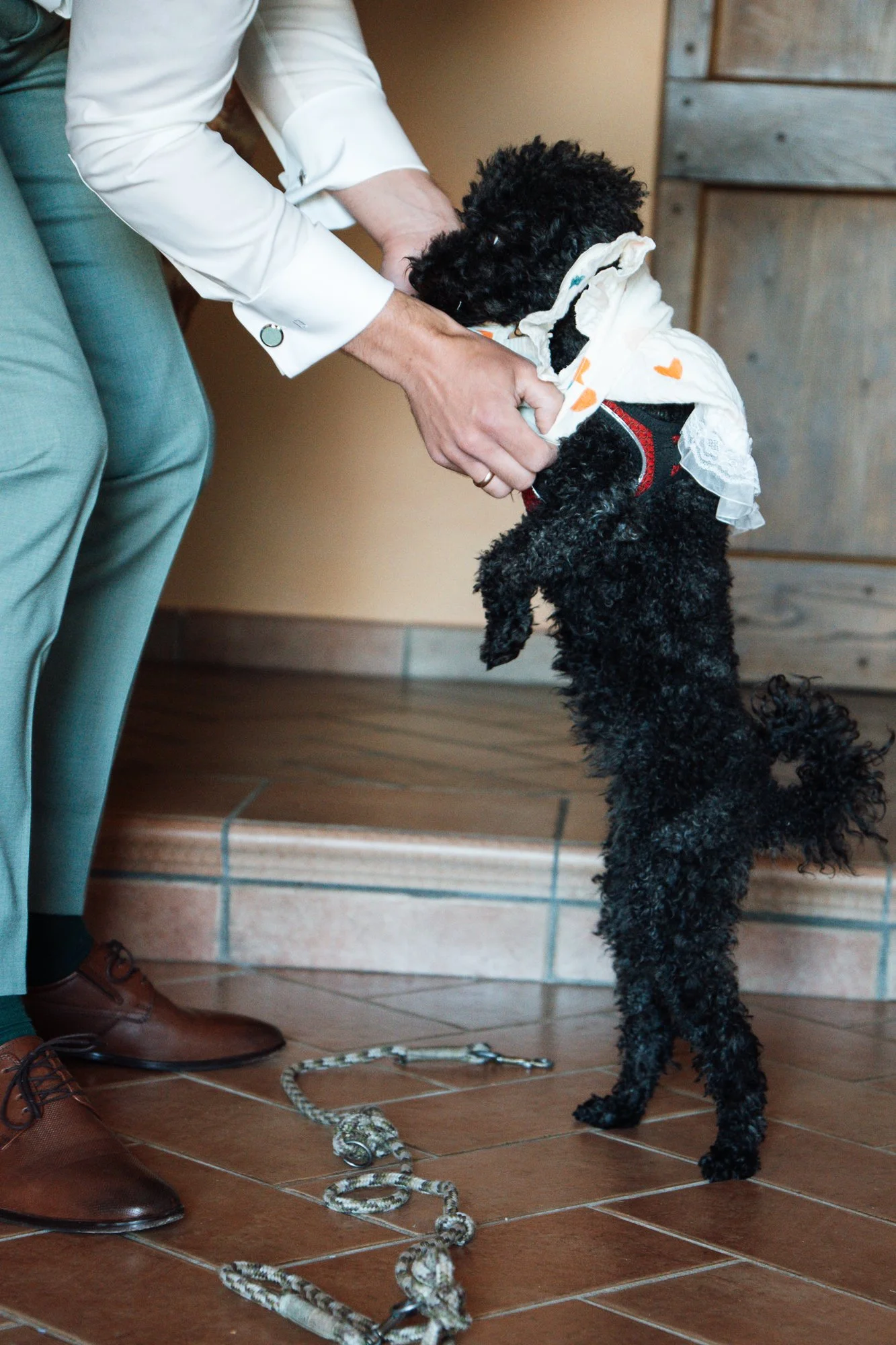 Ein Hund, der auf seinen Hinterbeinen steht, wird von einer Person berührt. Der Hund trägt ein weißes Kleid und eine rote Weste, die an eine modische Kleidung erinnert.
