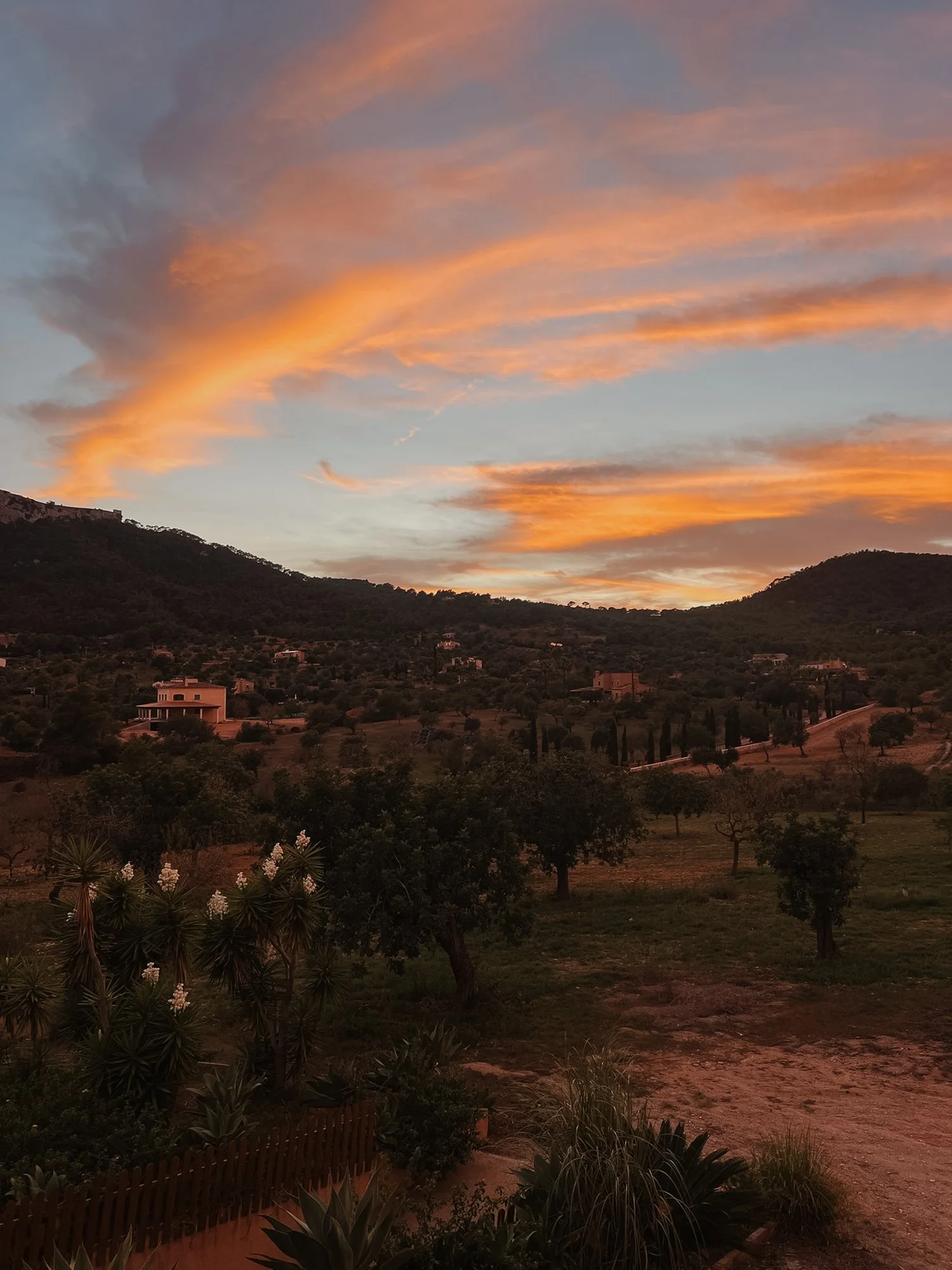 Sonnenuntergang über Hügeln mit offenen Feldern, Bäumen und einigen Gebäuden, Himmel mit orangefarbenen Wolken.