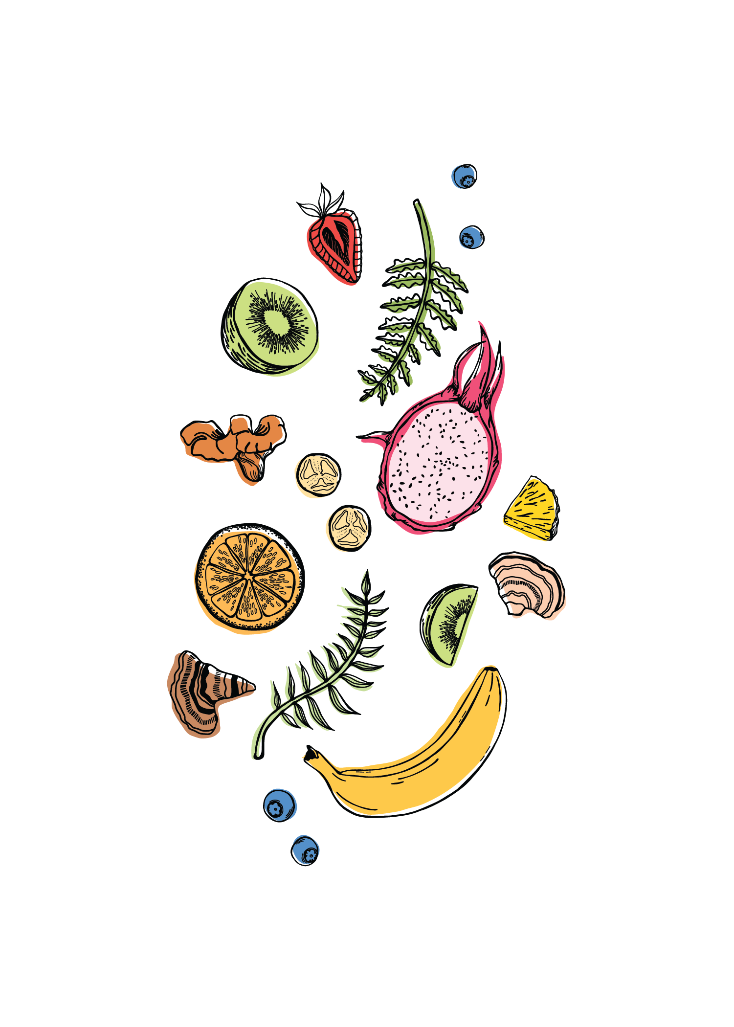 illustrations web-02.png