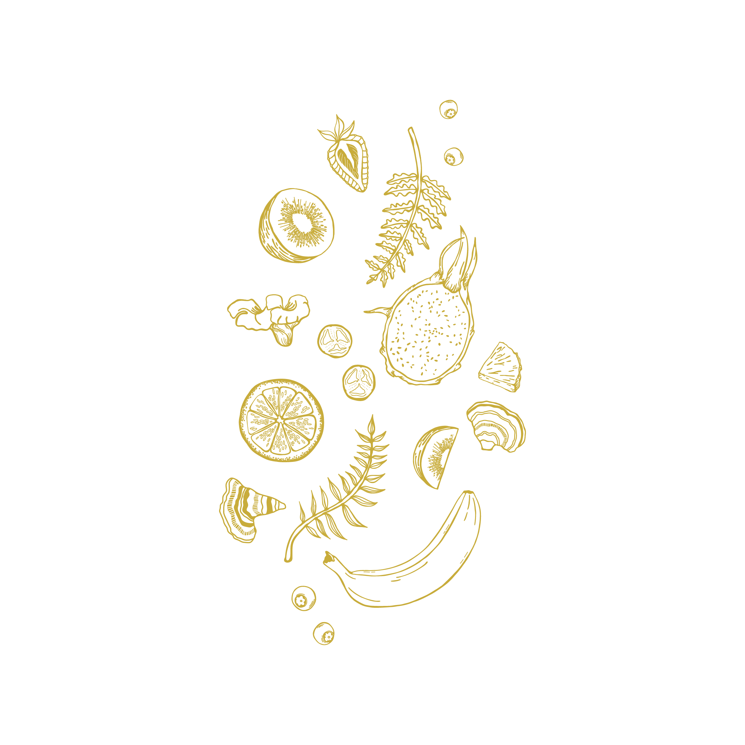 illustrations for website-03.png