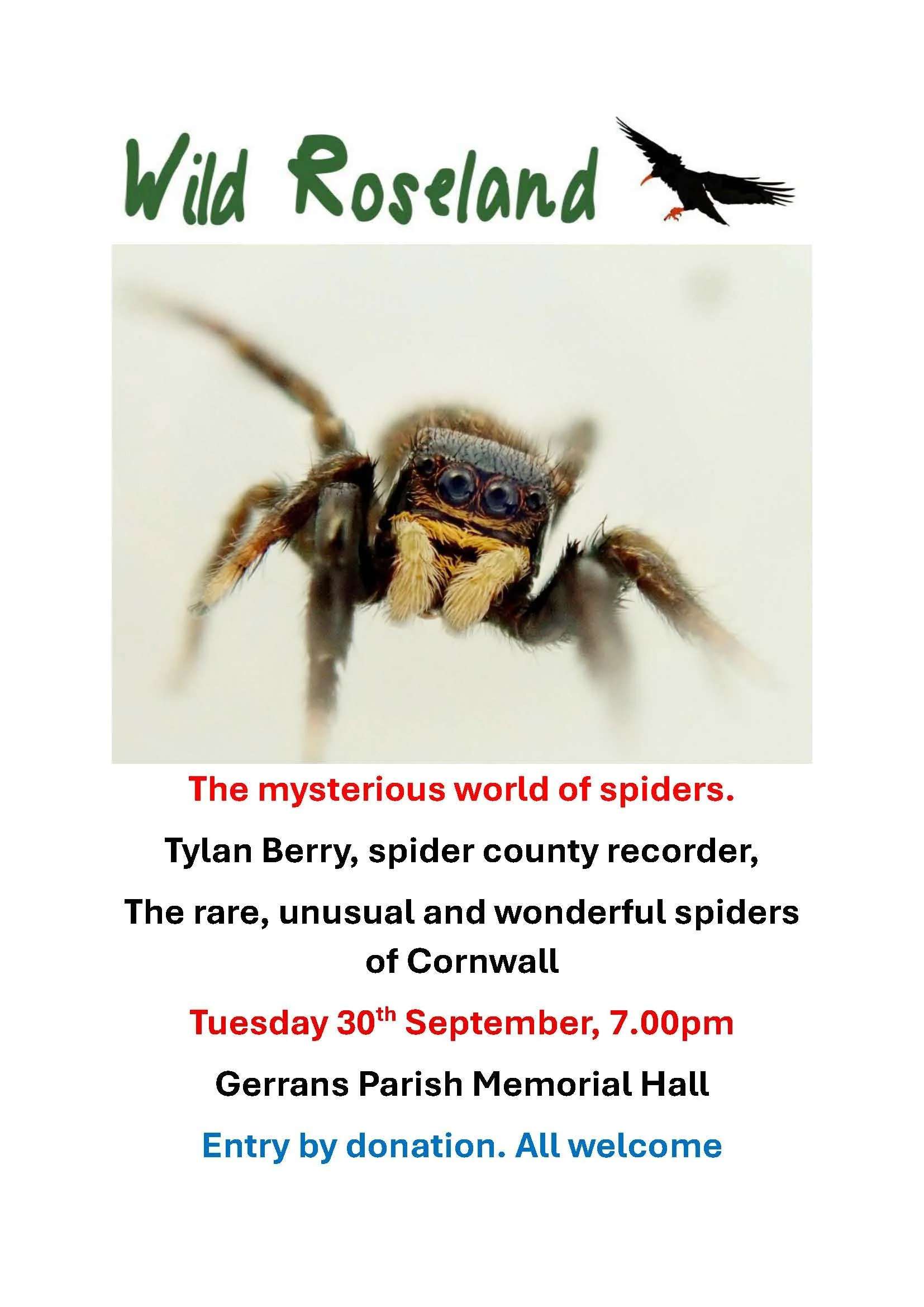 Poster advertising a talk about spiders featuring a close-up of a spider.